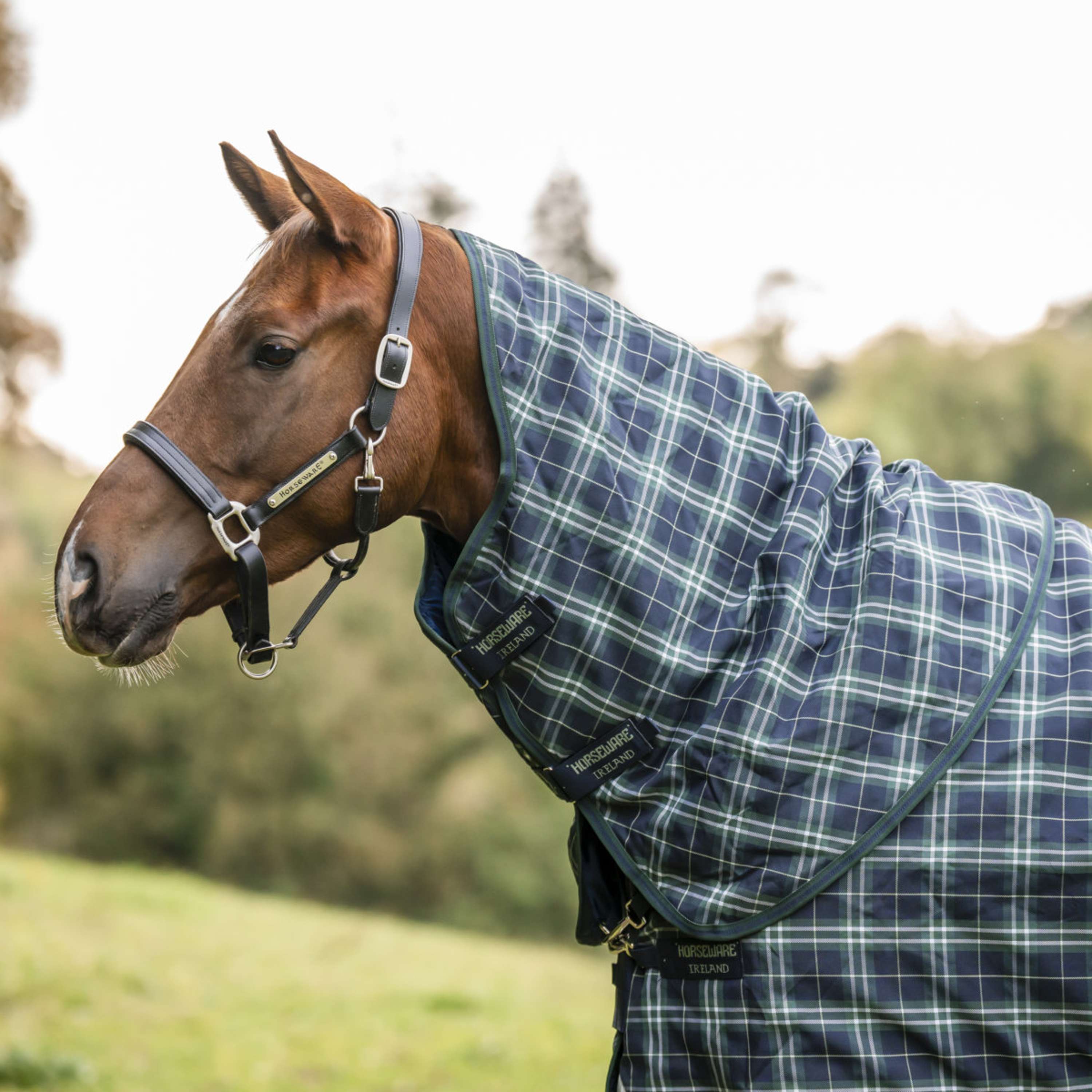 Rhino Neck Cover Turnout 0g Hunter Check/Green/Navy