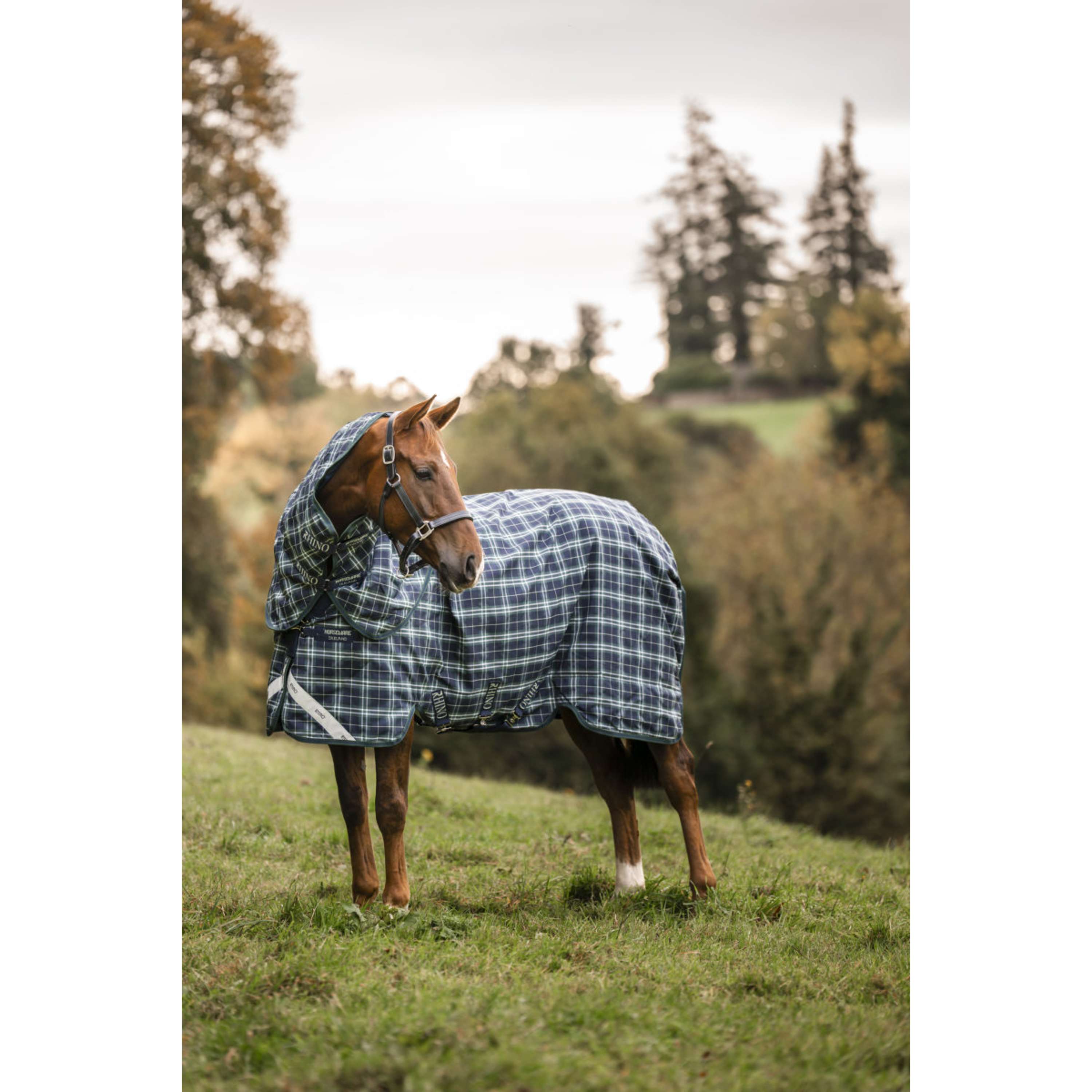 Rhino Neck Cover Turnout 0g Hunter Check/Green/Navy