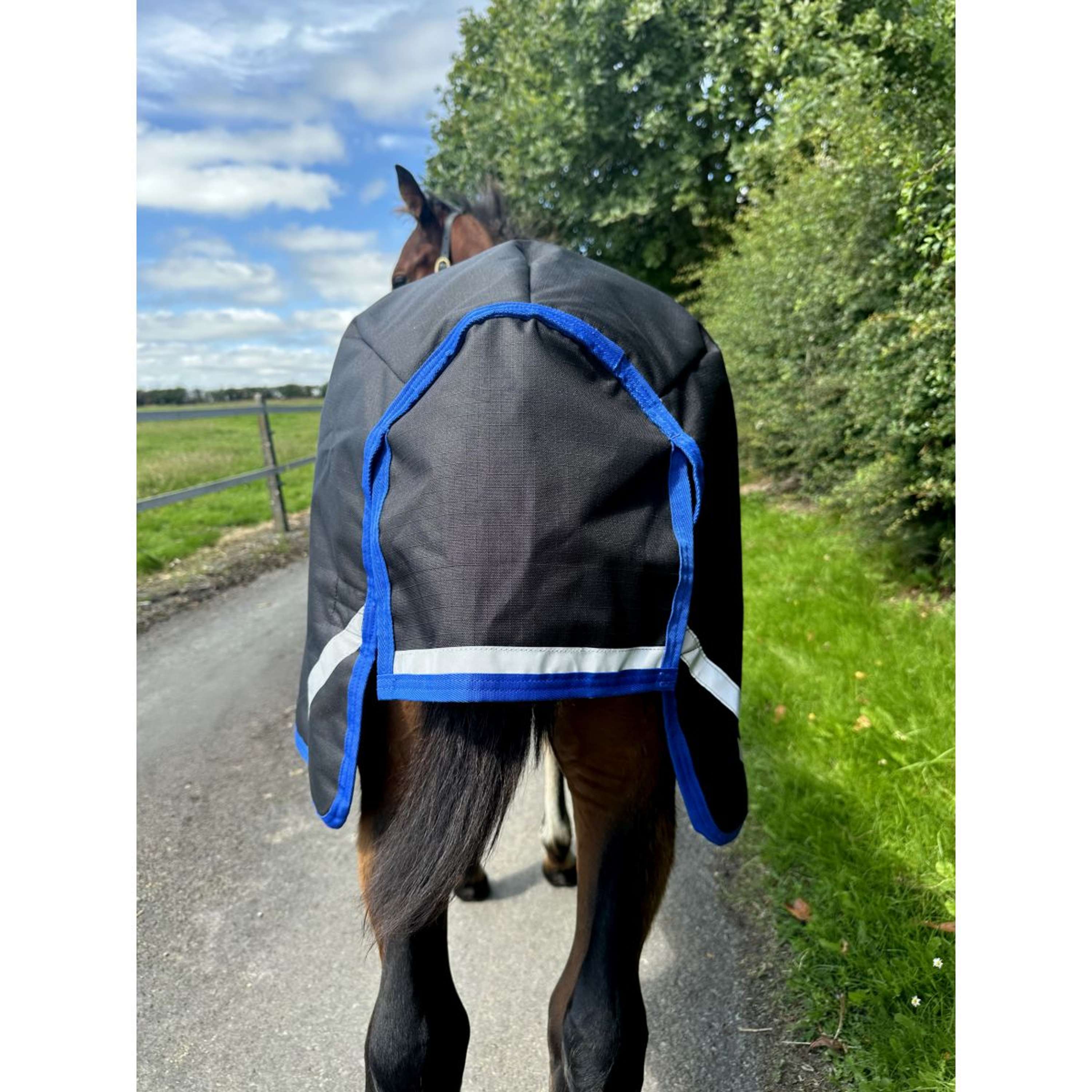 Amigo Foal Rug Ripstop 900D 200g Black/Classic Blue