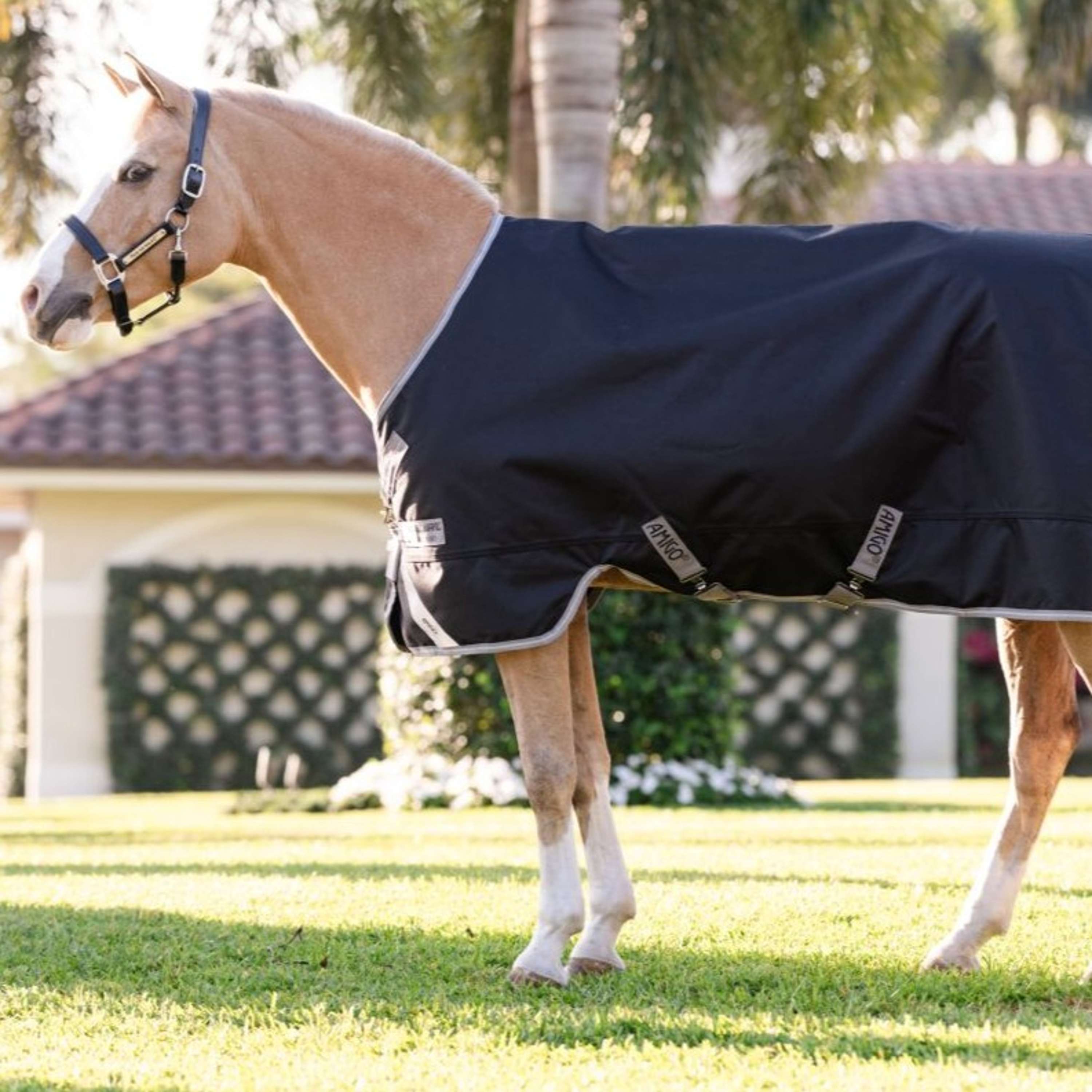 Amigo Turnout 1200D Pony 50g Black/Titanium Grey/Silver