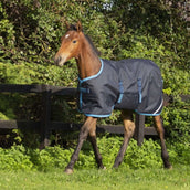 Amigo Foal Rug Ripstop 200g Navy/ElecBlue