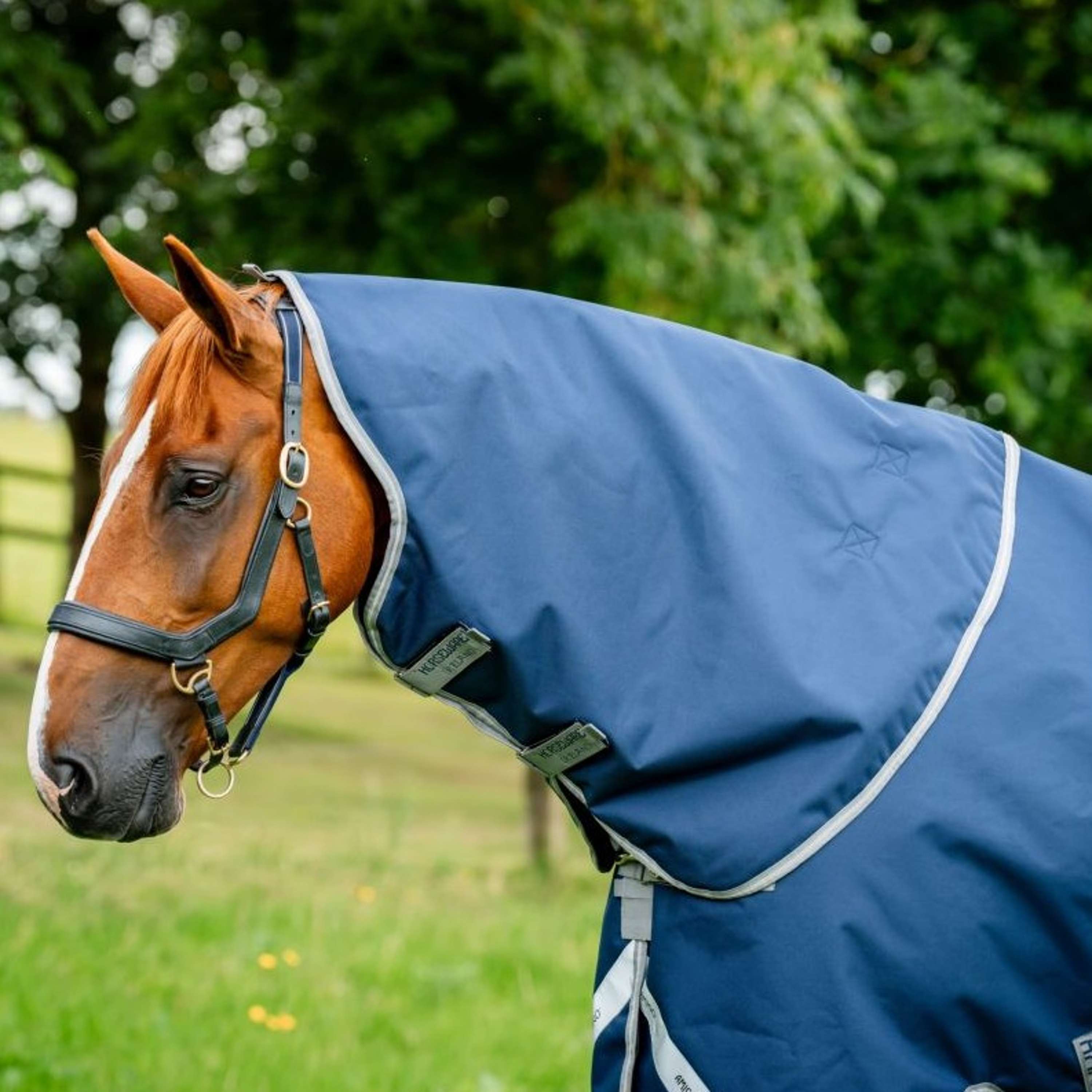 Amigo Hood Bravo 1200D 150g Navy/Titanium Grey