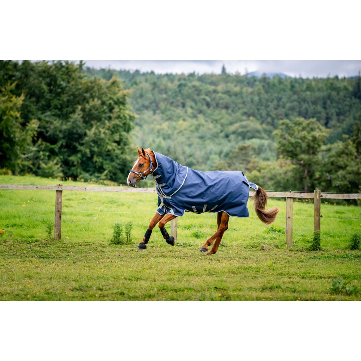 Amigo Bravo 12 Plus Turnout Heavy 400g Navy/Titanium Grey