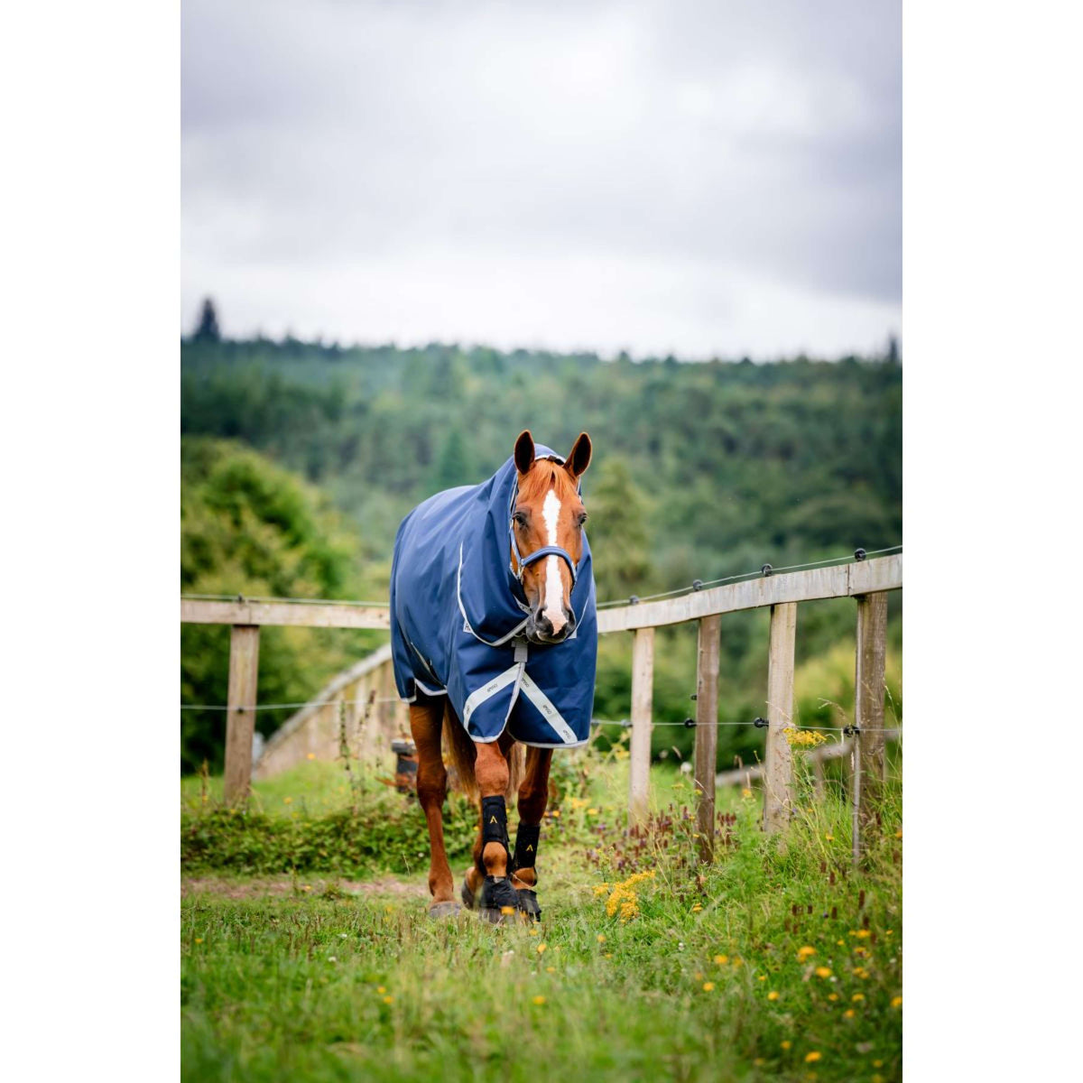 Amigo Bravo 12 Plus Turnout Heavy 400g Navy/Titanium Grey