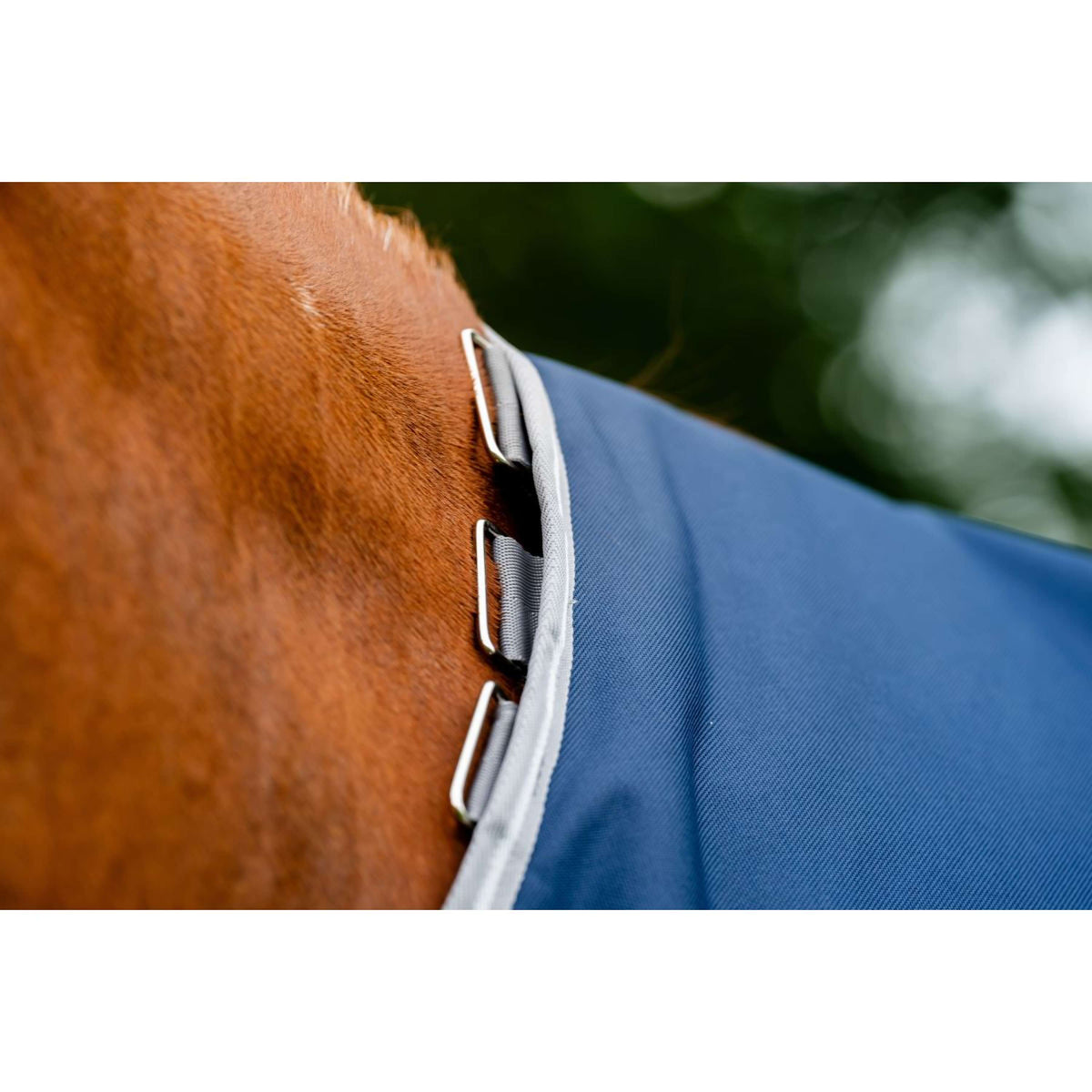 Amigo Bravo 12 Plus Turnout Heavy 400g Navy/Titanium Grey