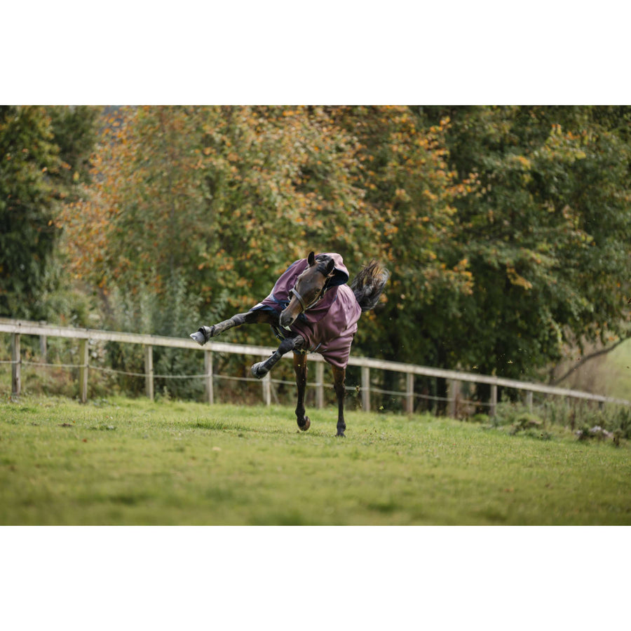Amigo Turnout Plus 1200D 50g Burgundy/Navy/Titanium Grey