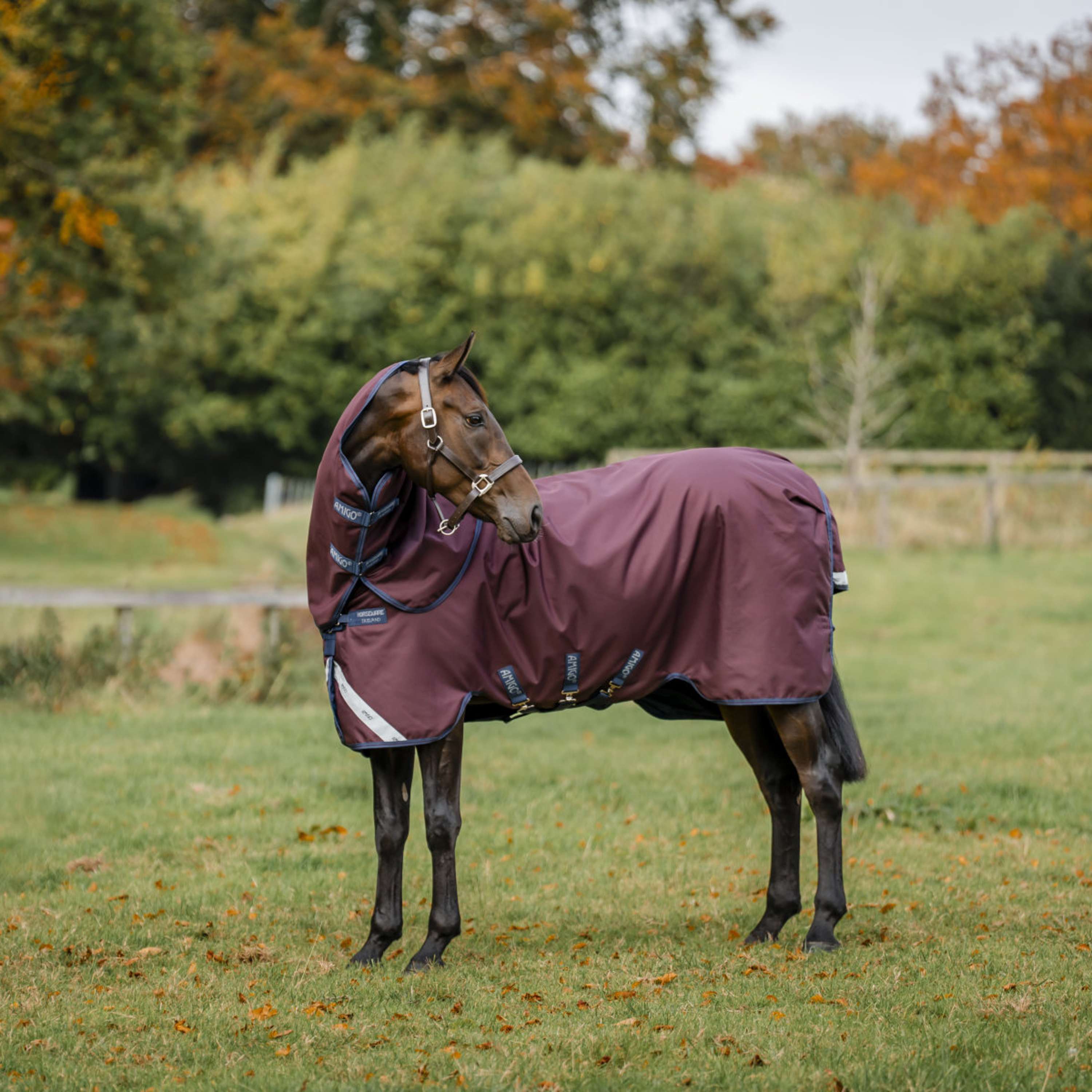 Amigo Neck Cover Turnout 1200D 0g Burgundy/Navy/Titanium Grey
