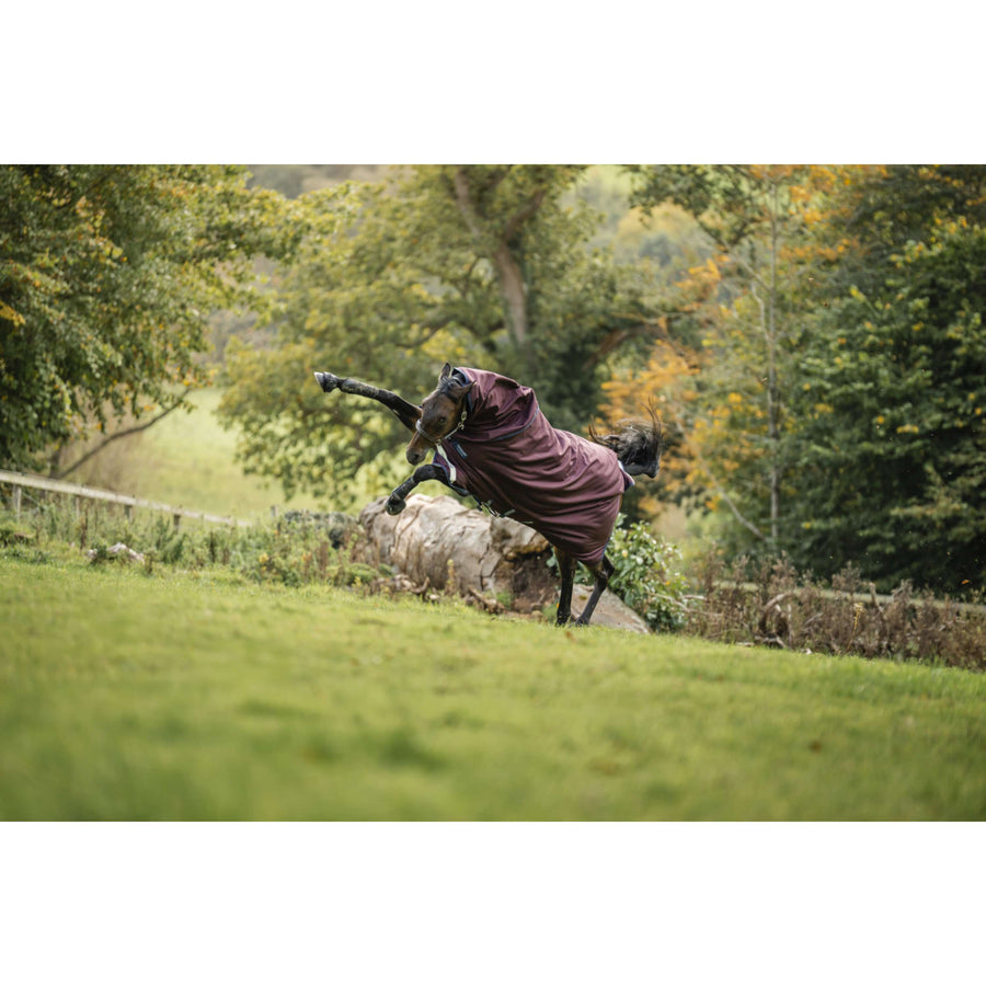 Amigo Turnout Plus 1200D 50g Burgundy/Navy/Titanium Grey