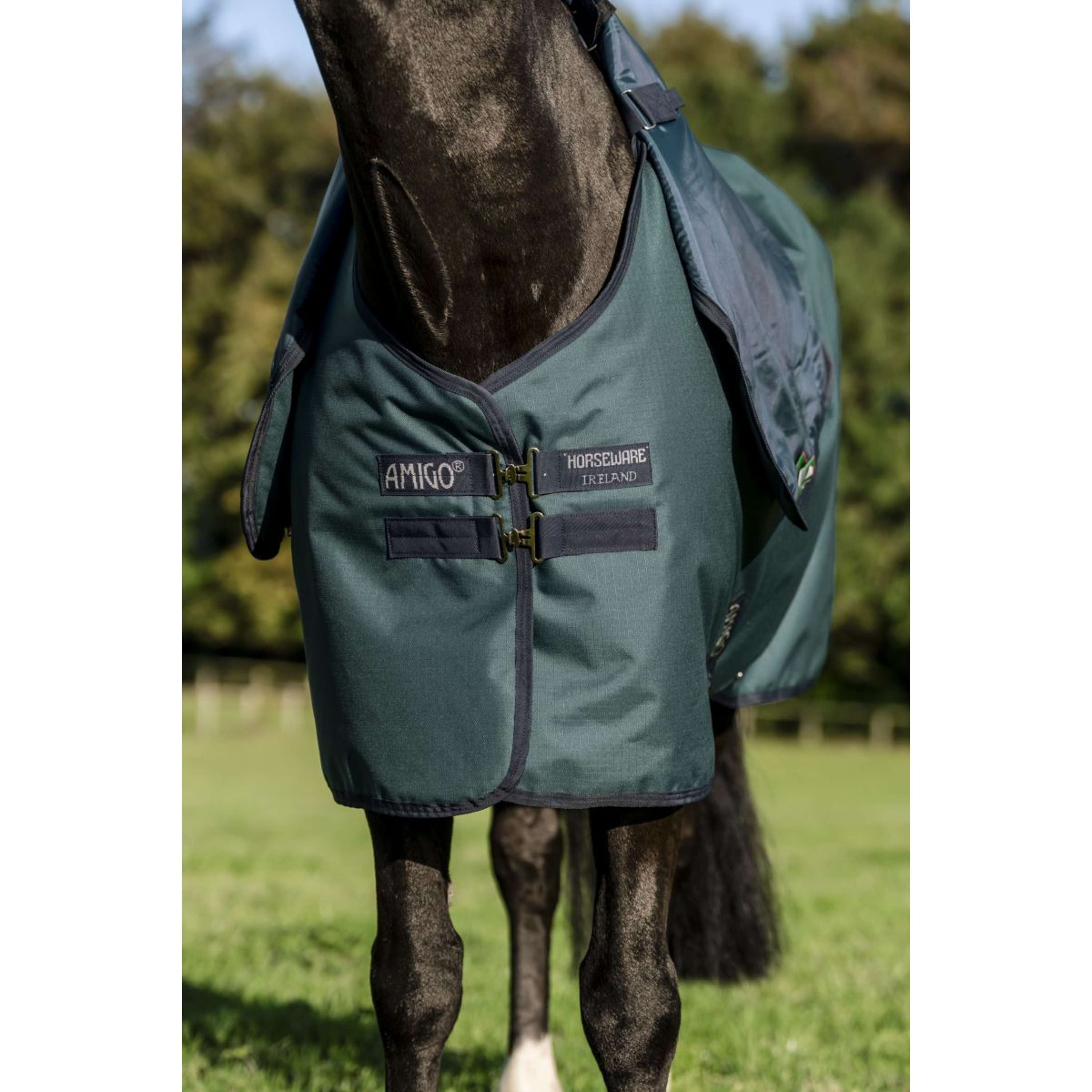 Horseware Amigo 900D 0g Turnout Rug With A Detachable Hood - Witney Navy | Hogstaonline