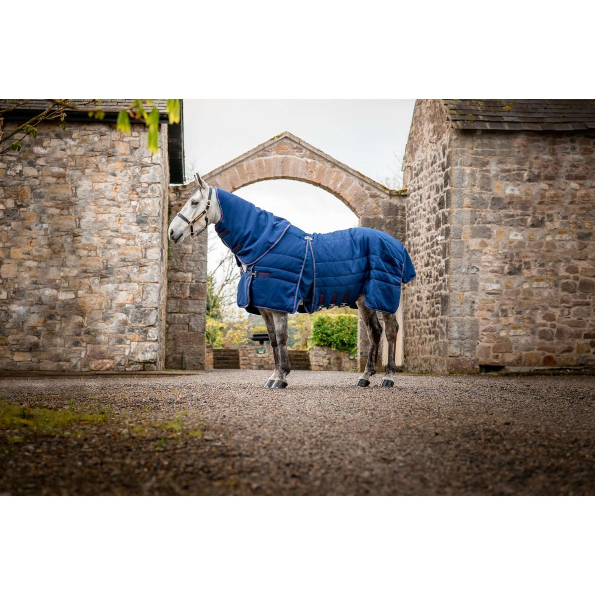 Rambo Stable Rug Optimo Plus 200g Navy/Burgundy/Teal