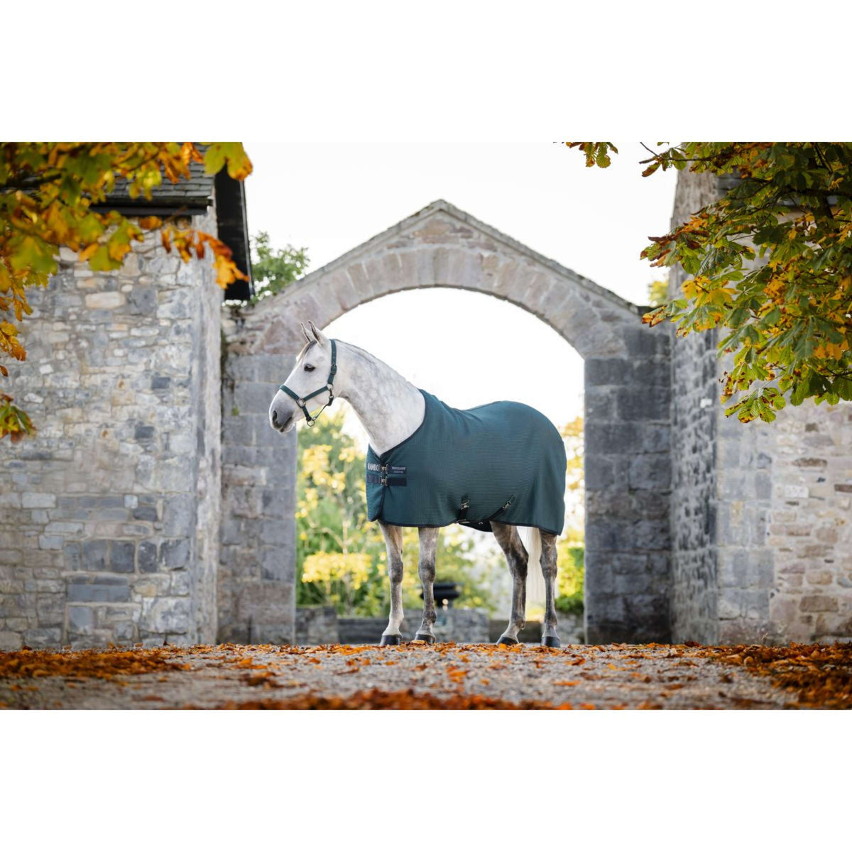 Rambo Waffle Cooler Techni Dynasty Green/Navy/Silver