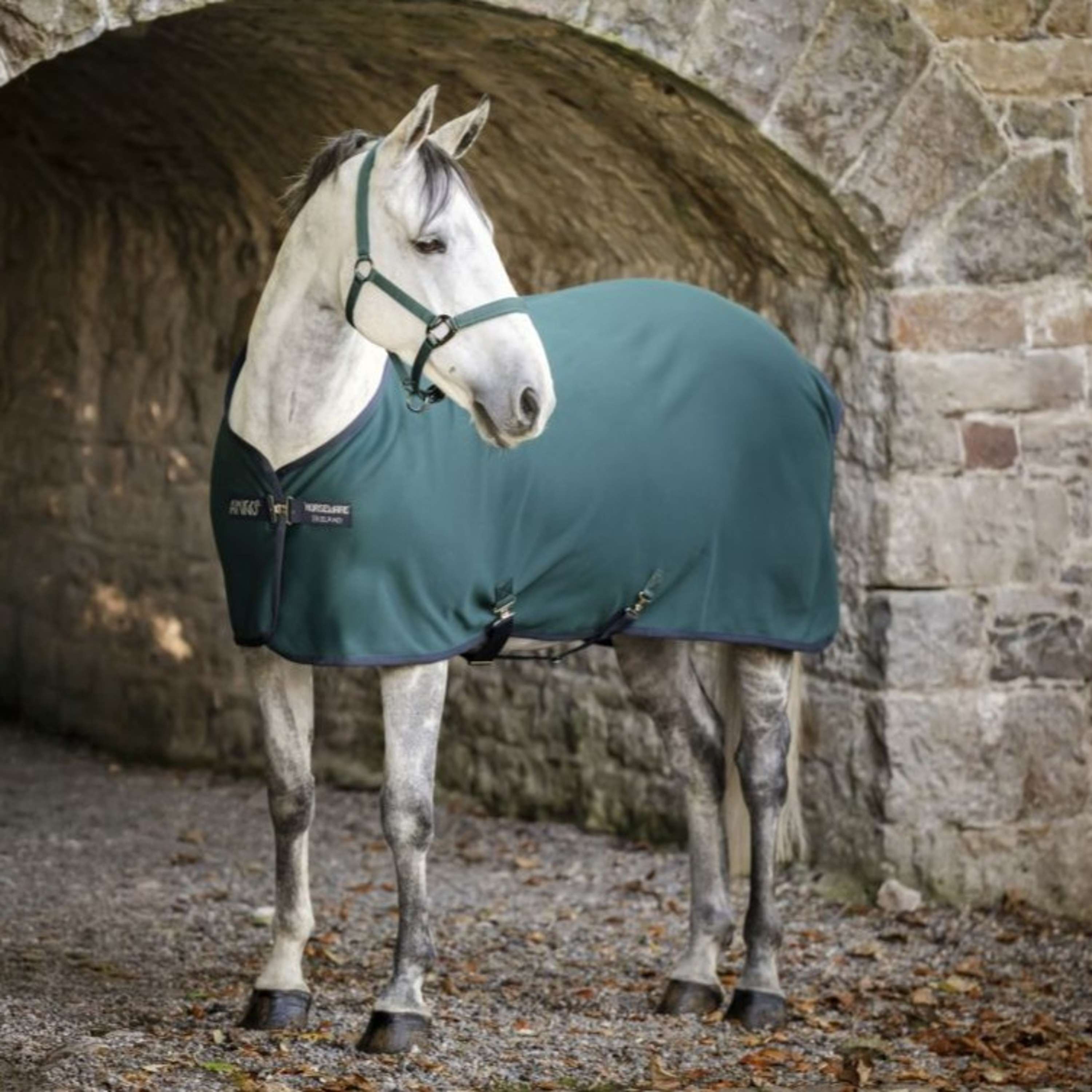 Amigo Jersey Cooler Pony Dynasty Green/Navy/Silver
