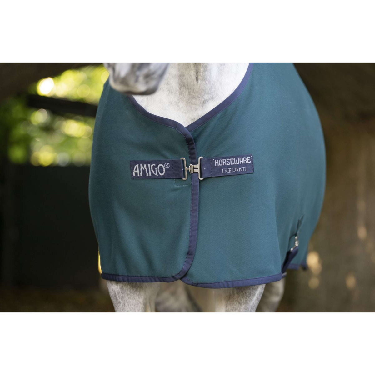 Amigo Jersey Cooler Dynasty Green/Navy/Silver