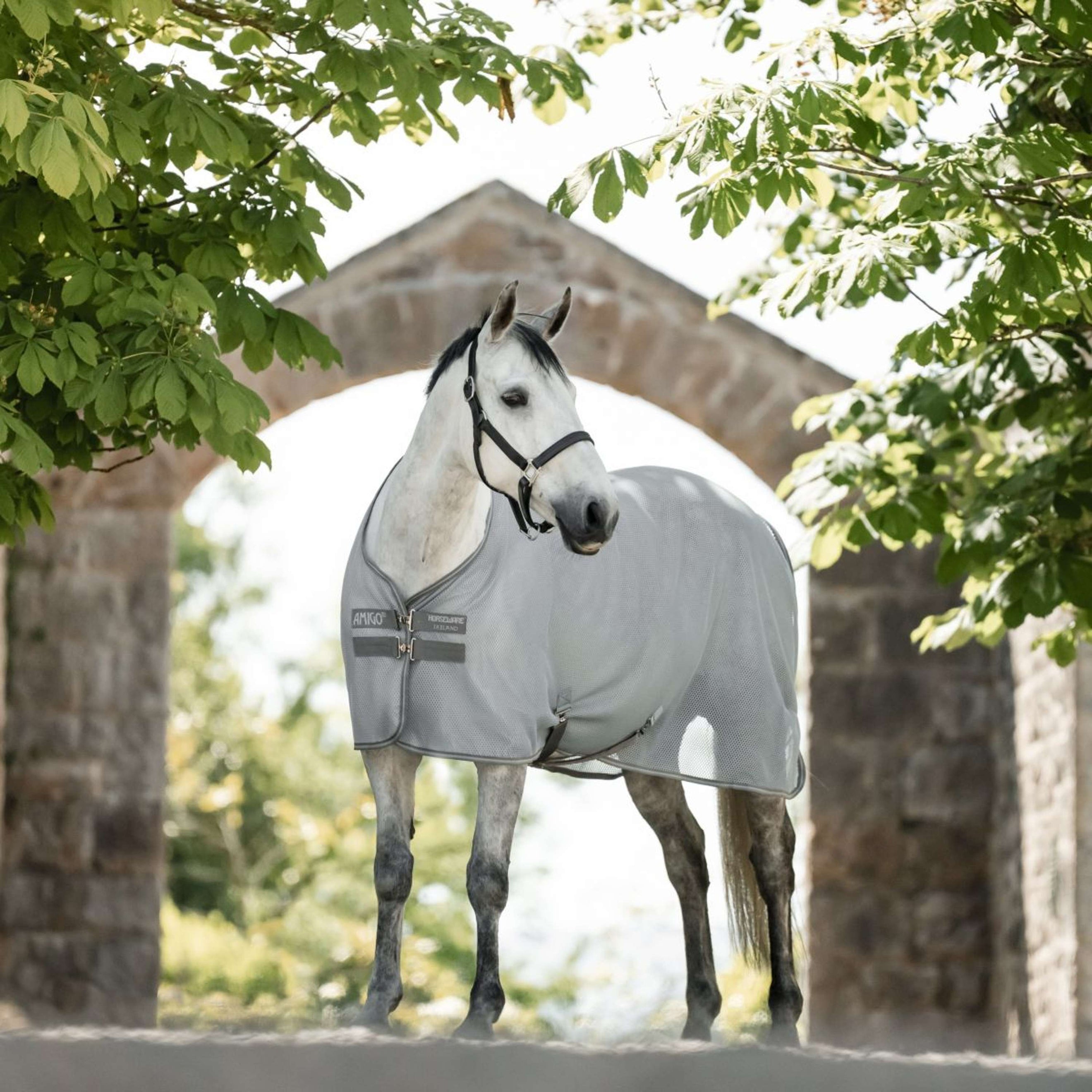 Amigo AirNet Cooler Heather Blue/Titanium Grey/Silver