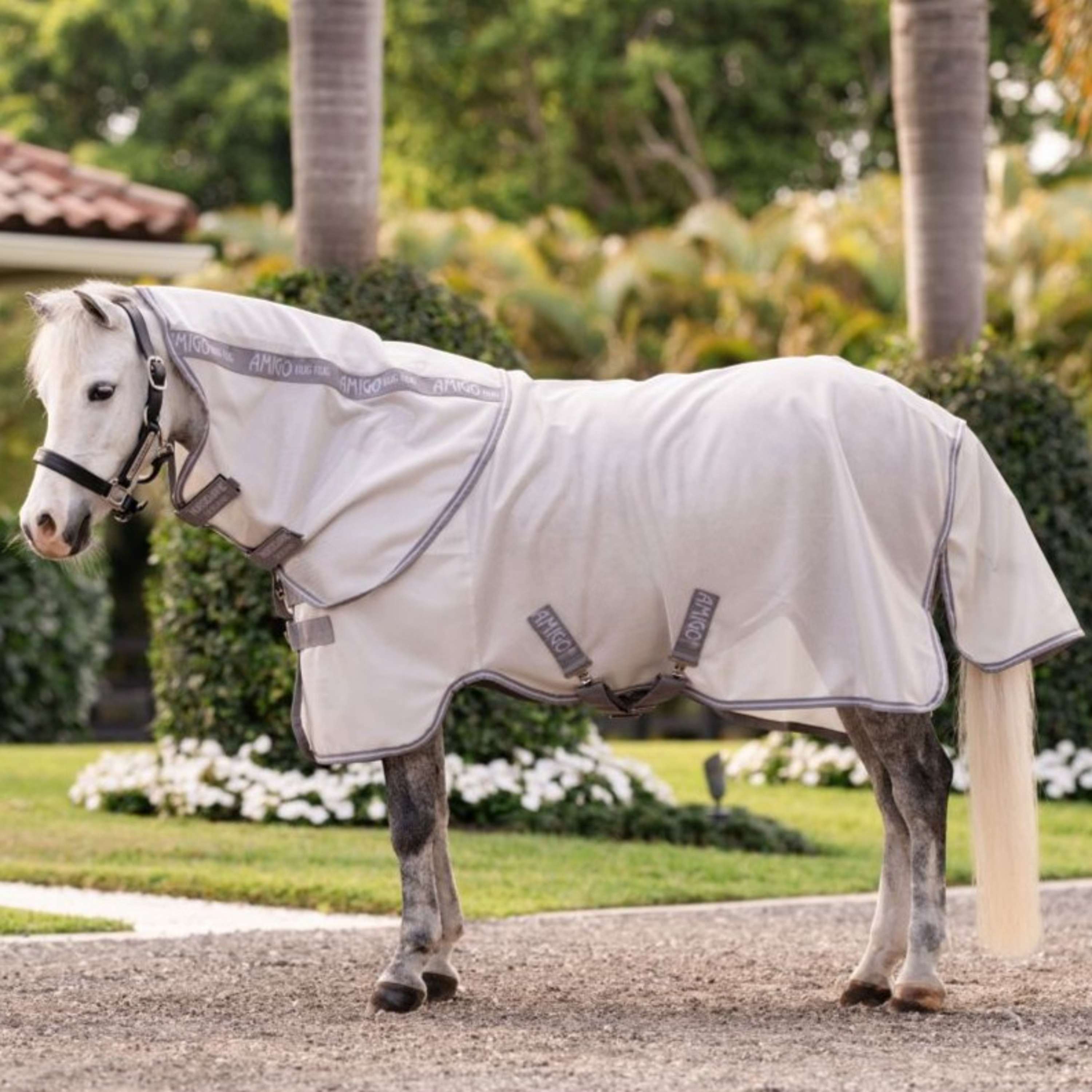 Amigo Bug Rug Plus Pony Silver/Titanium Grey/Silver