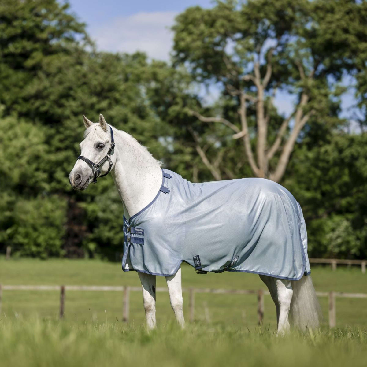 Amigo Bug Rug Pony Heather Blue/Blue/Silver