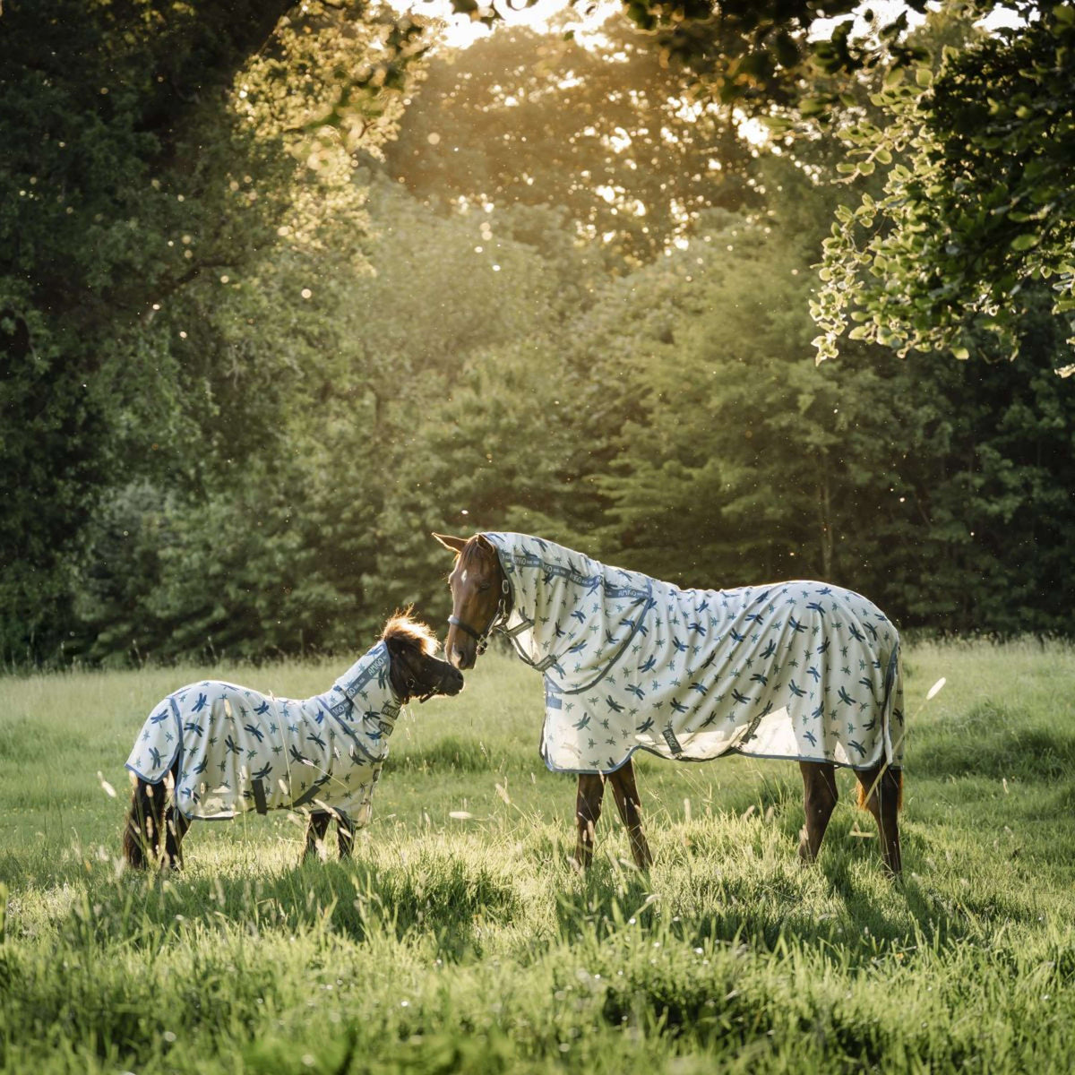 Amigo Bug Rug Plus Petite Dragonfly Print/Silver/Blue/Sage