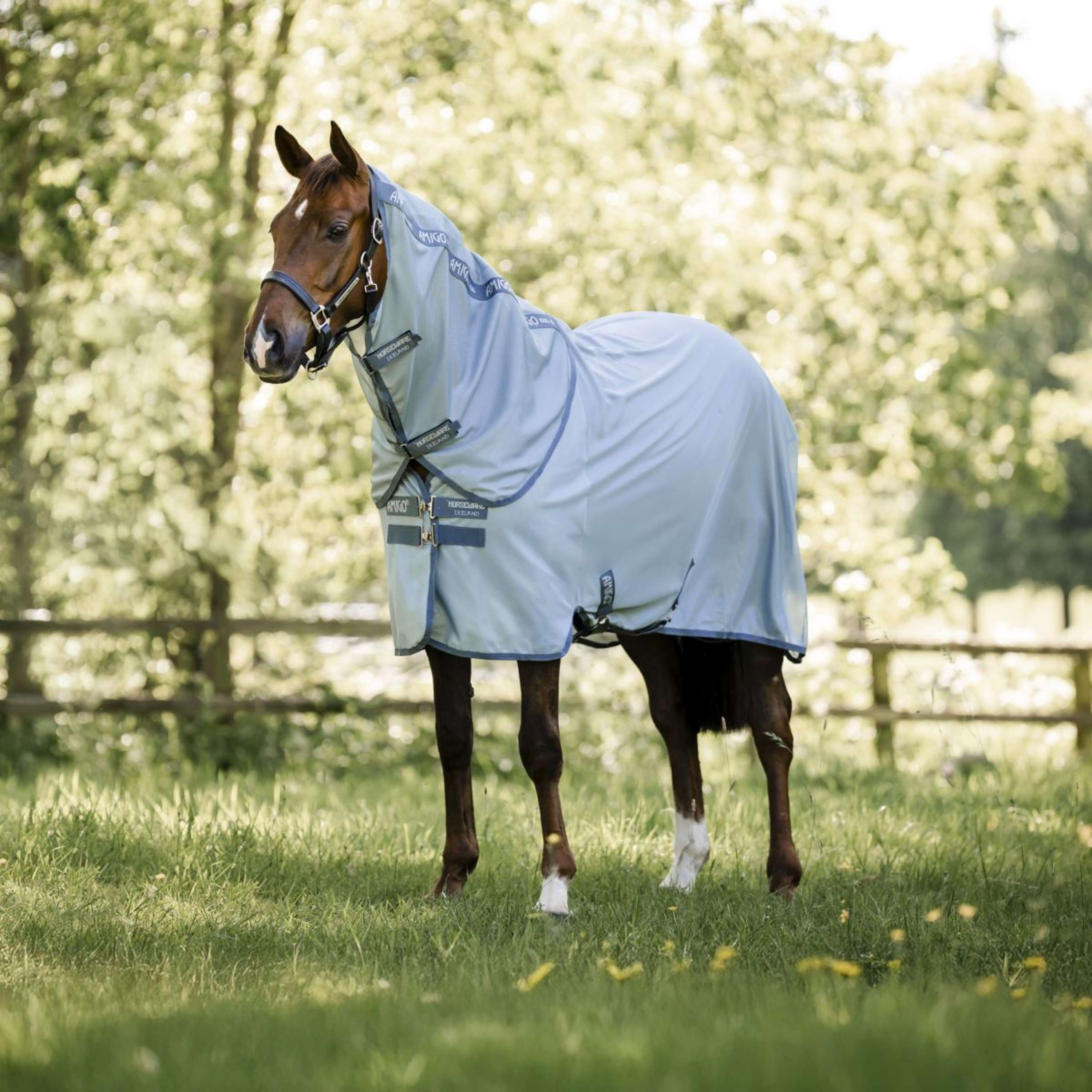 Amigo Neck Cover Bug Rug Heather Blue/Blue/Silver