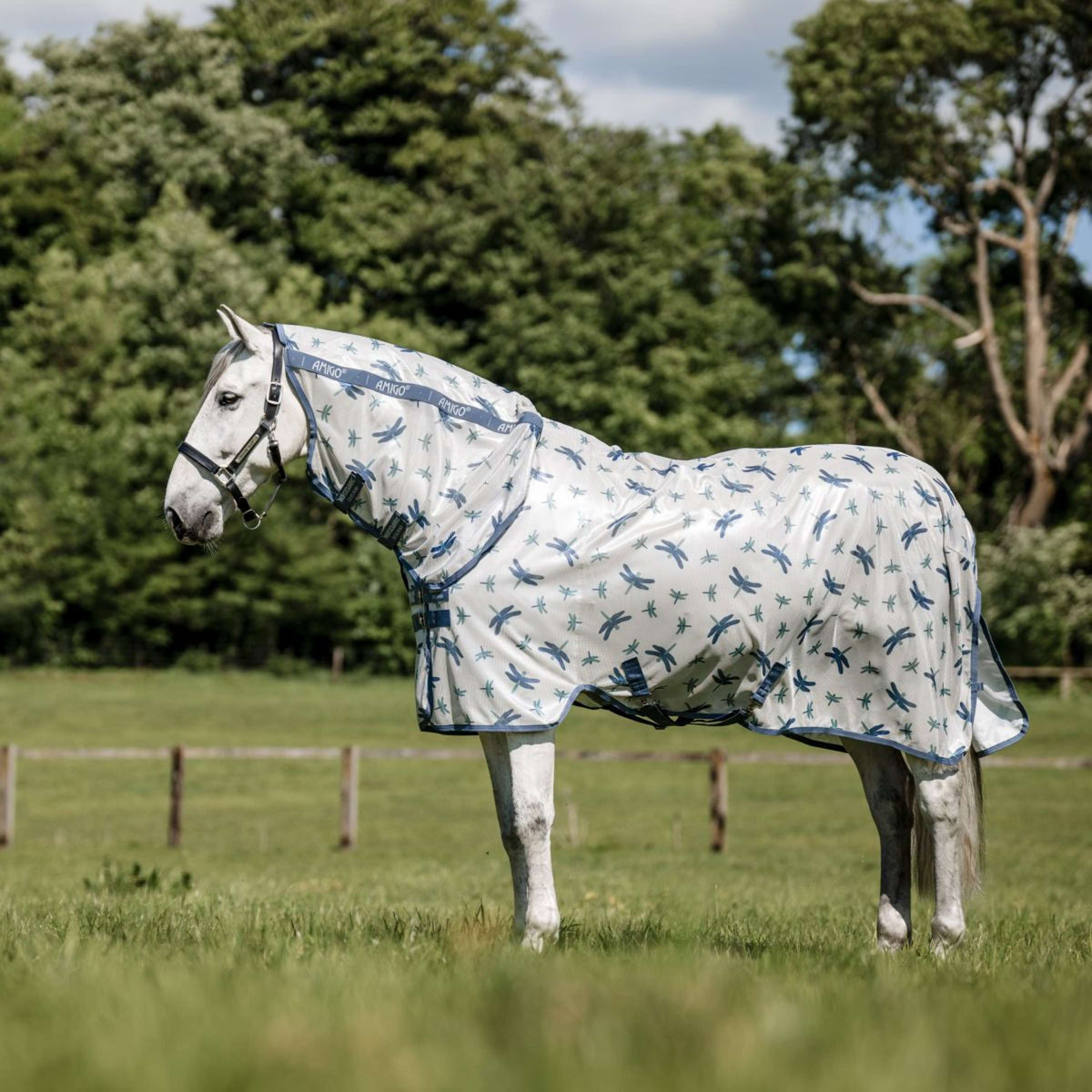 Amigo Fly Rug Integrated Dragonfly Print/Silver/Blue/Sage