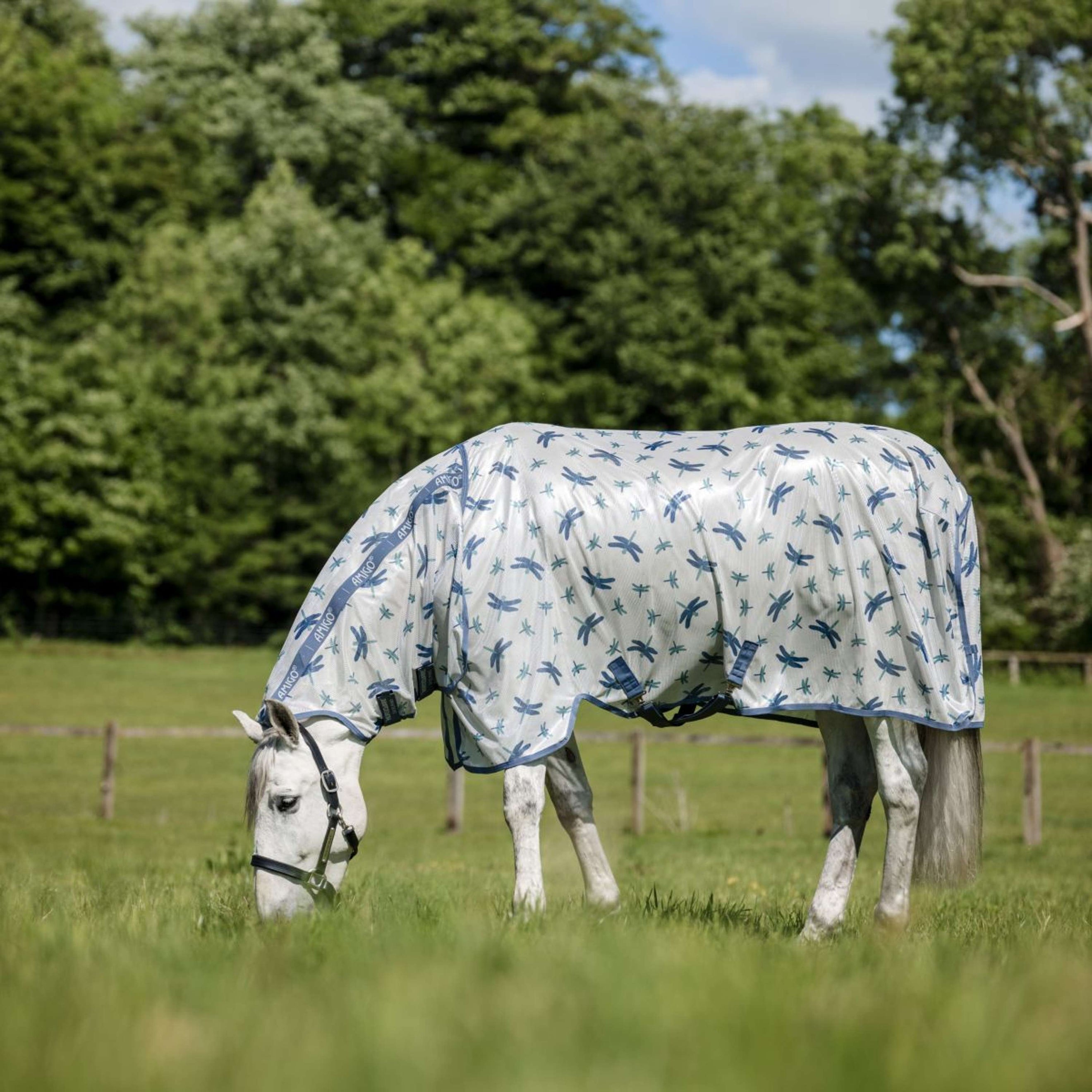 Amigo Fly Rug Integrated Dragonfly Print/Silver/Blue/Sage Amigo Fly Rug Integrated Dragonfly Print/Silver/Blue/Sage