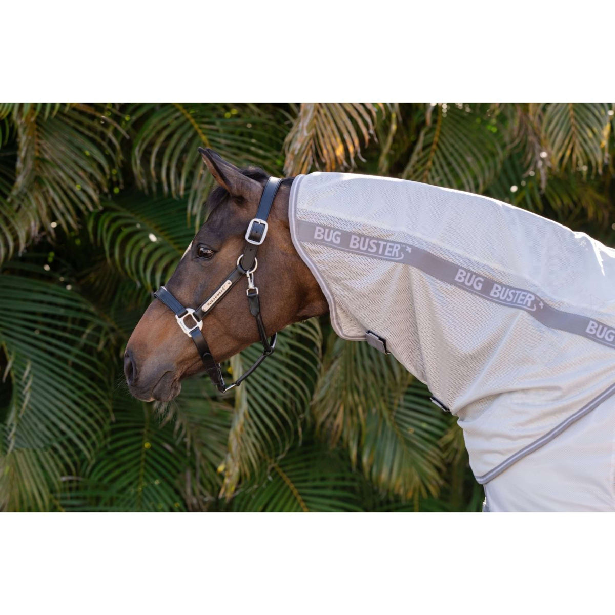 Amigo Neck Cover Bug Buster Silver/Titanium Grey/Silver