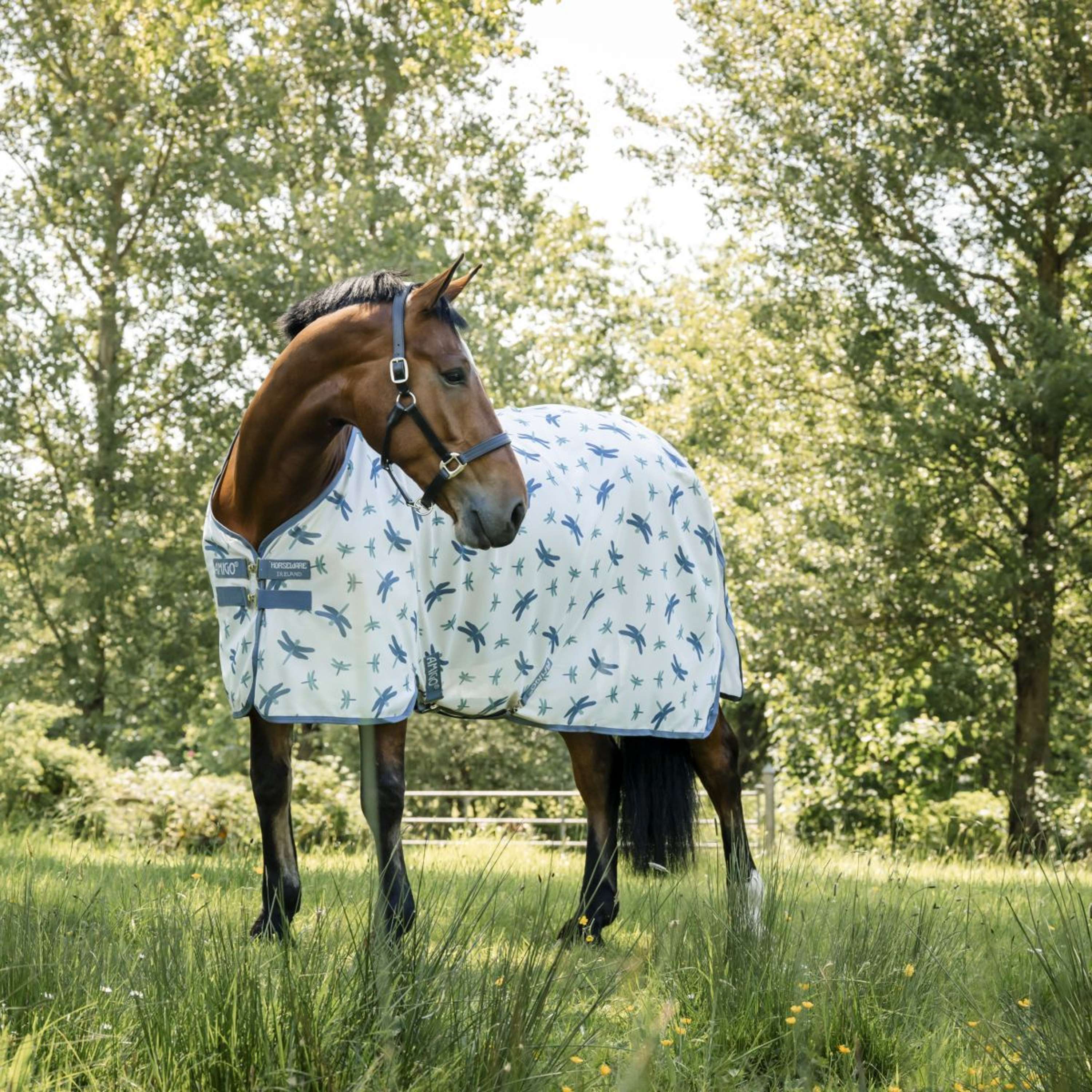 Amigo Bug Rug XL Plus Dragonfly Print/Silver/Blue/Sage | Agradi.com