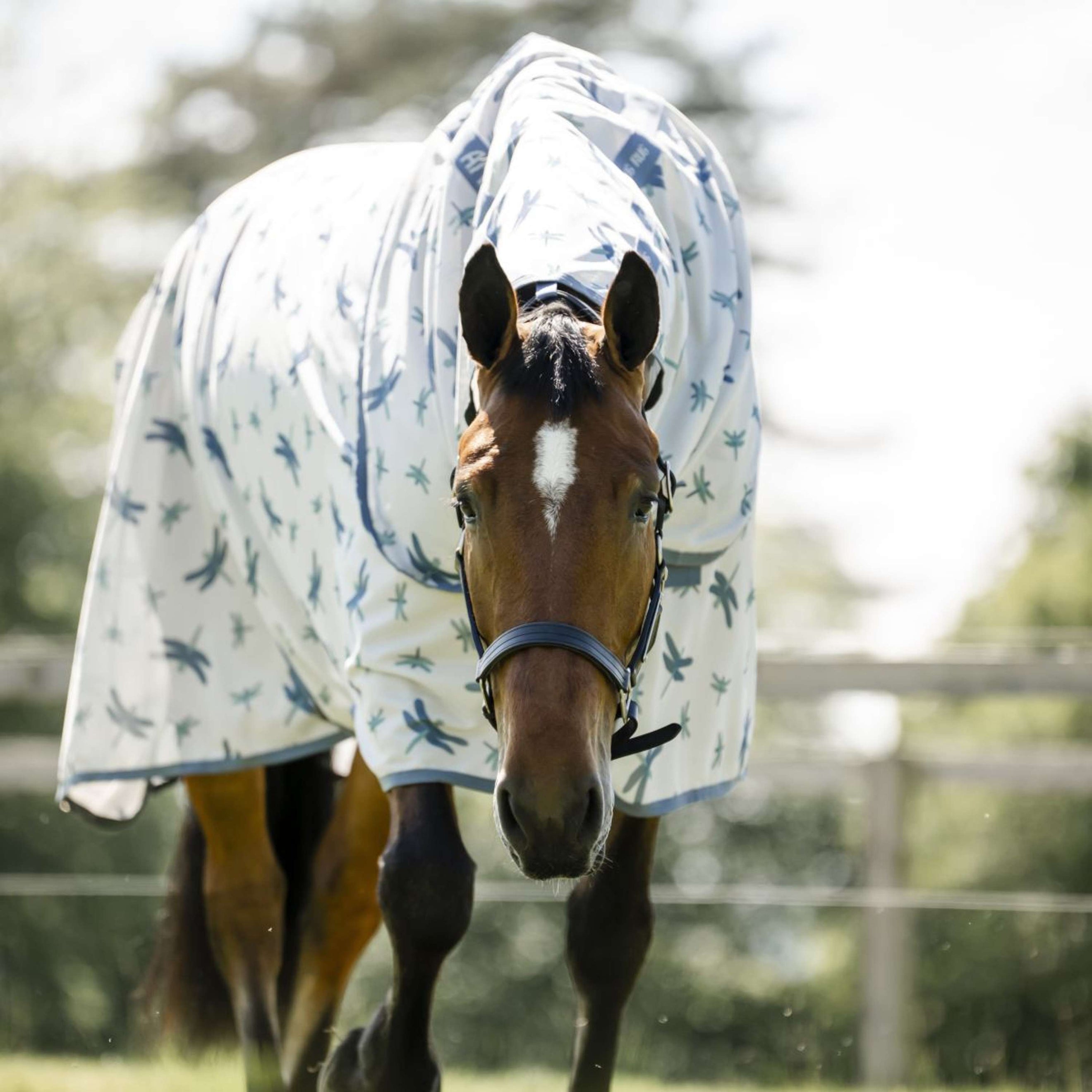 Amigo Bug Rug XL Plus Dragonfly Print/Silver/Blue/Sage Amigo Bug Rug XL Plus Dragonfly Print/Silver/Blue/Sage