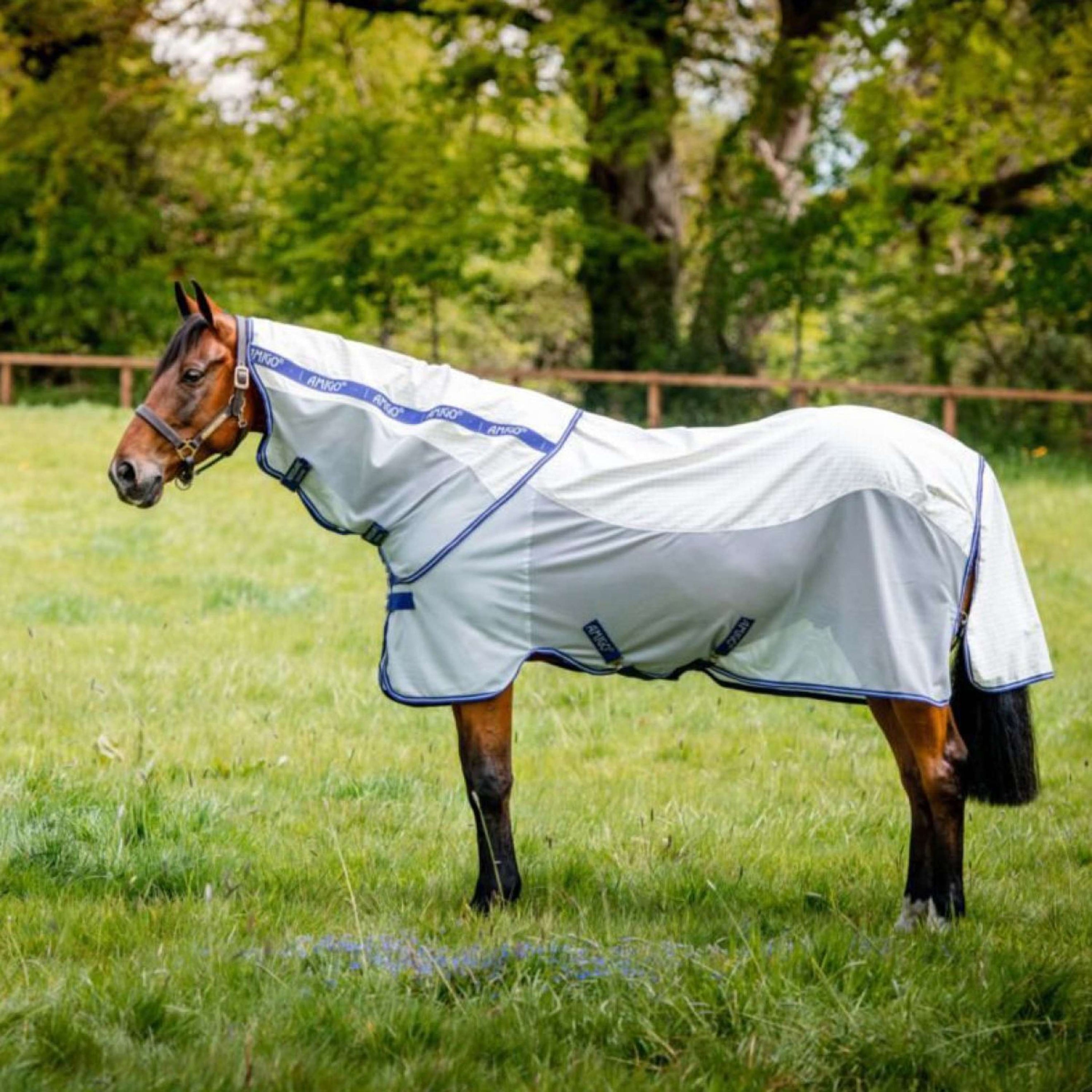 Amigo Fly Rug Airflow Navy Check/Atlantic Blue