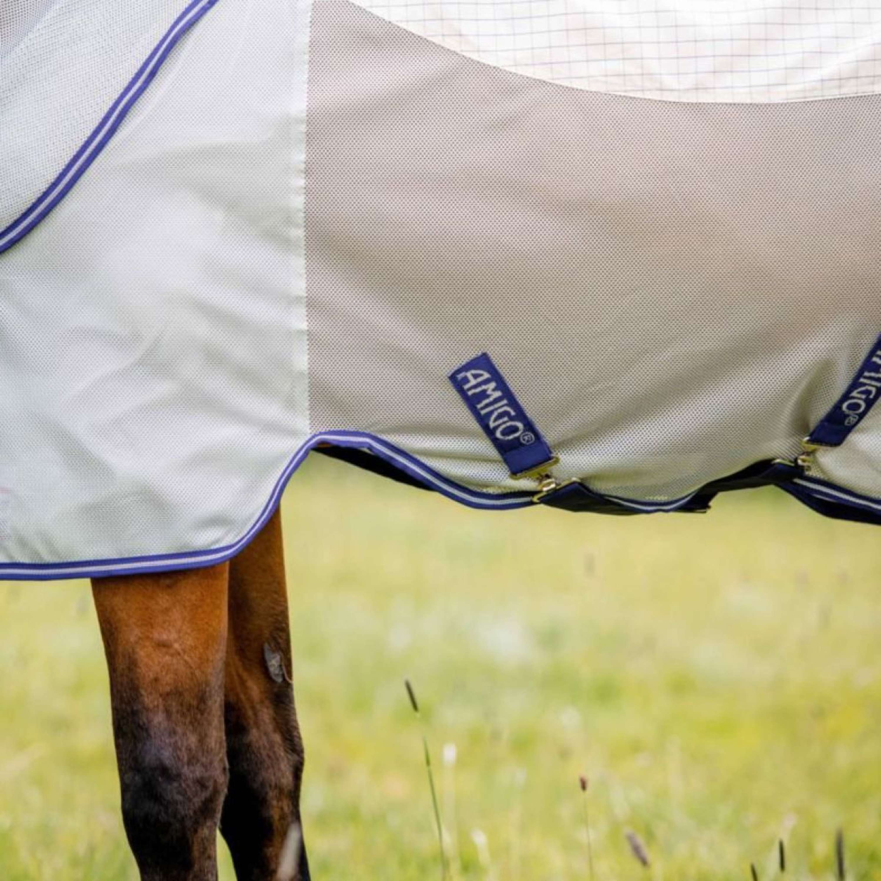 Amigo Fly Rug Airflow Navy Check/Atlantic Blue