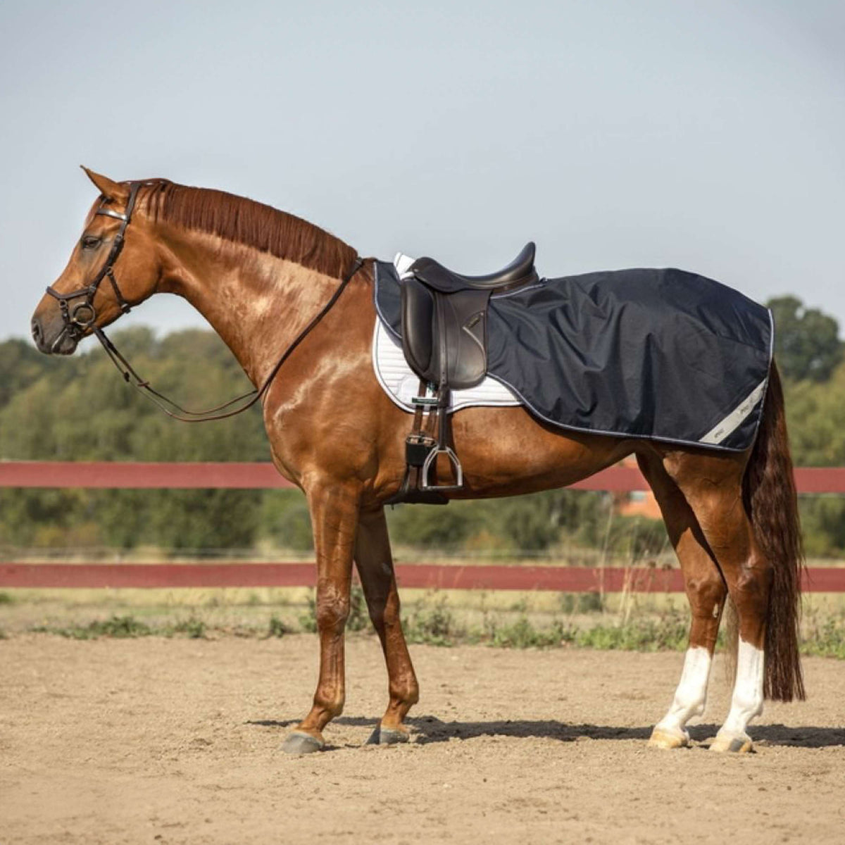 Amigo Exercise Rug Ripstop Comp Navy/White