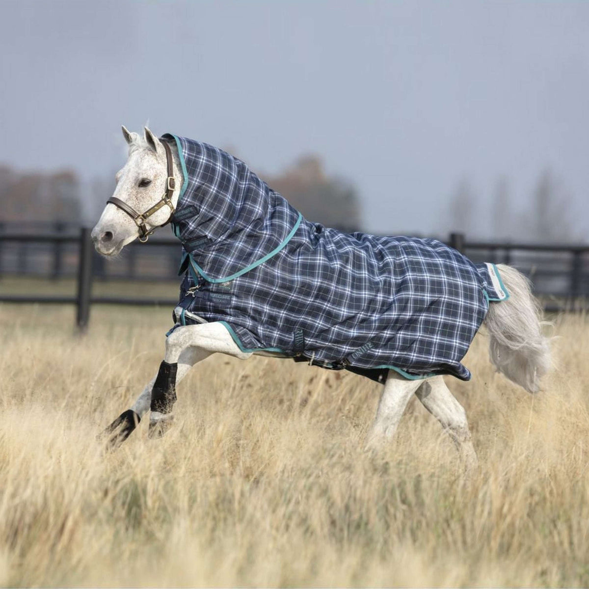 Rhino Pony Plus Medium Navy Check