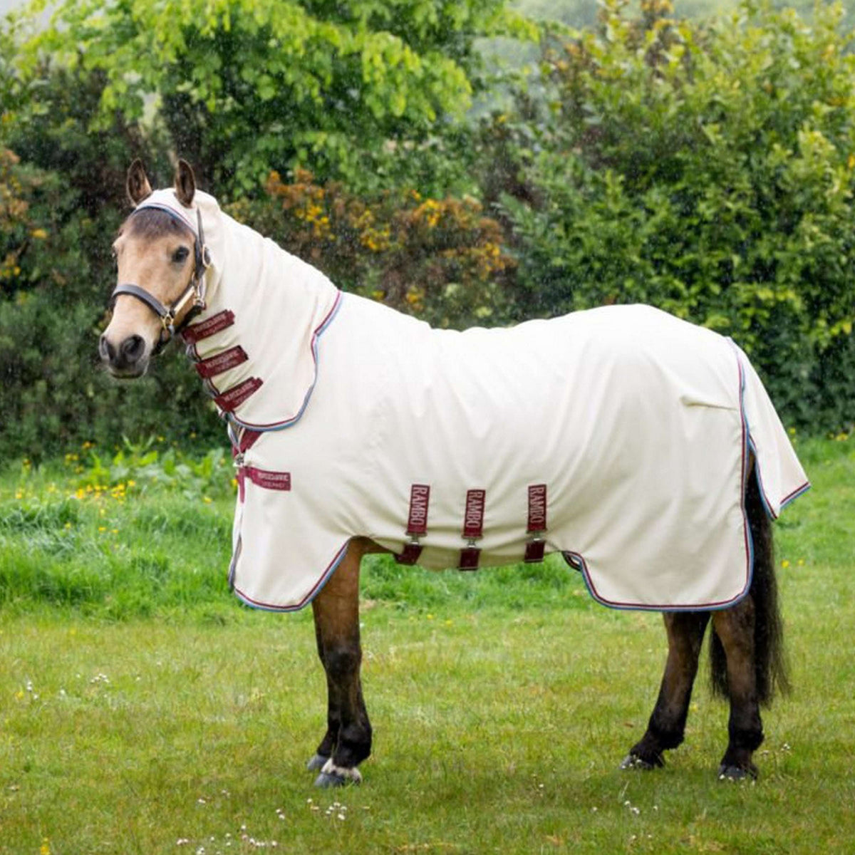 Rambo Hoody Pony Sand/Cherry