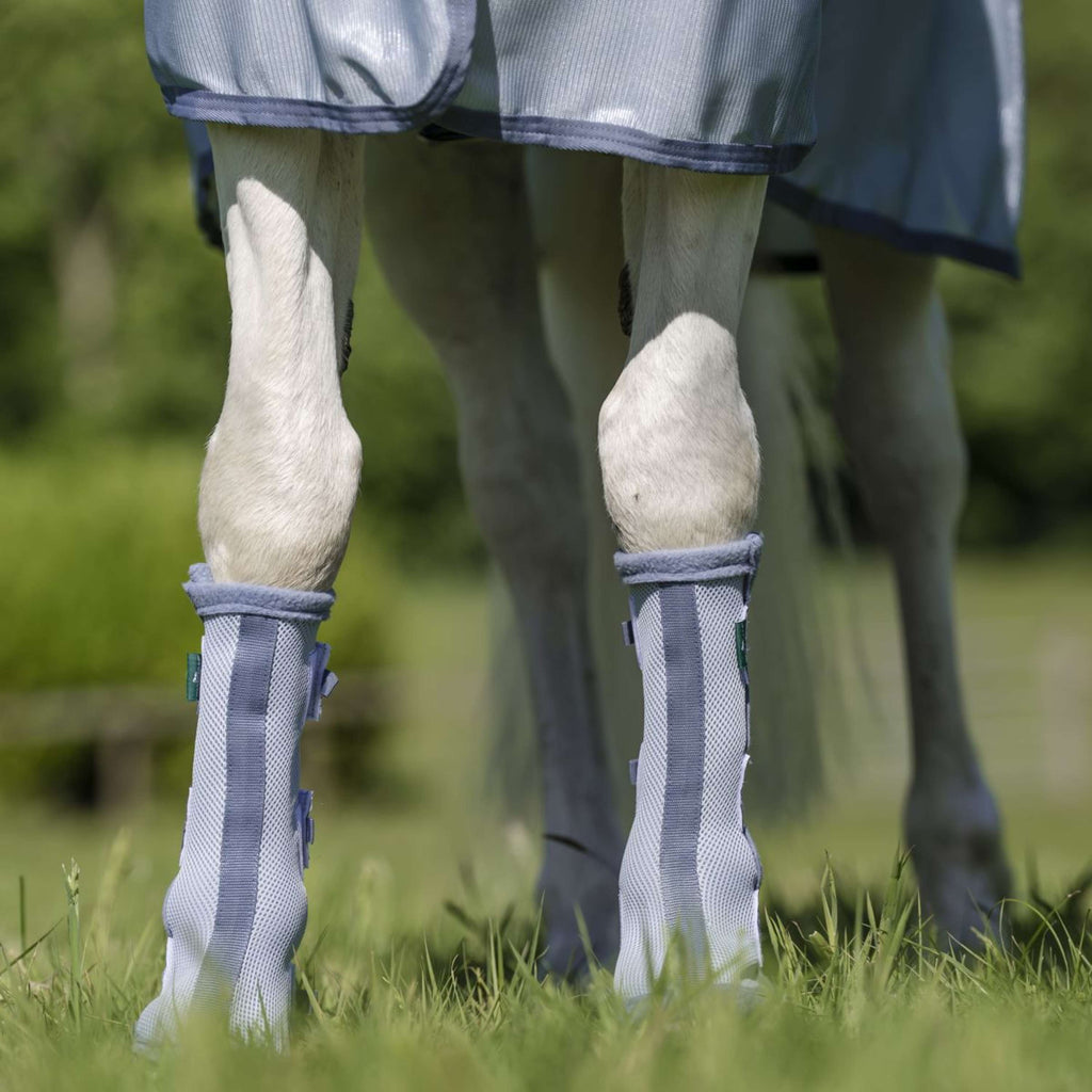 Horseware Fly Boots Set of 2 Heather Blue/Blue/Silver