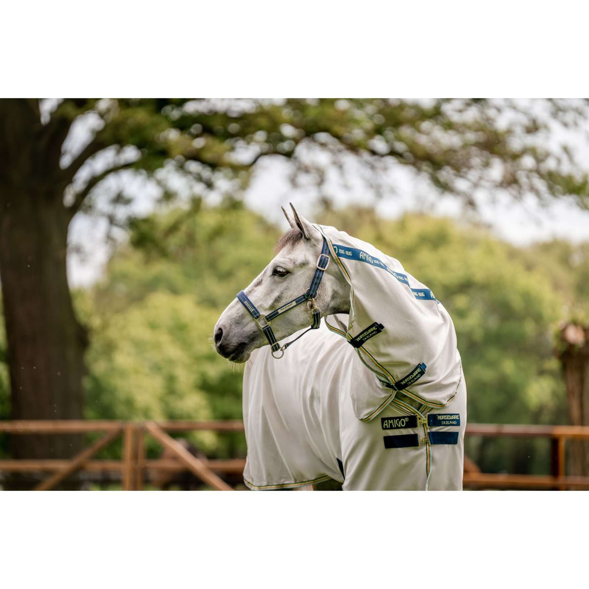 Horseware Halter Field Safe Navy