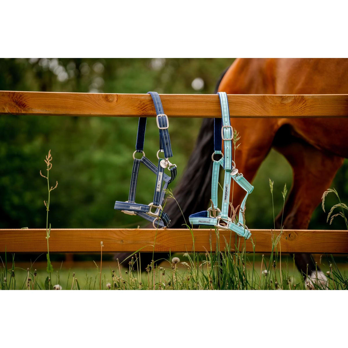 Horseware Halter Field Safe Blue Haze