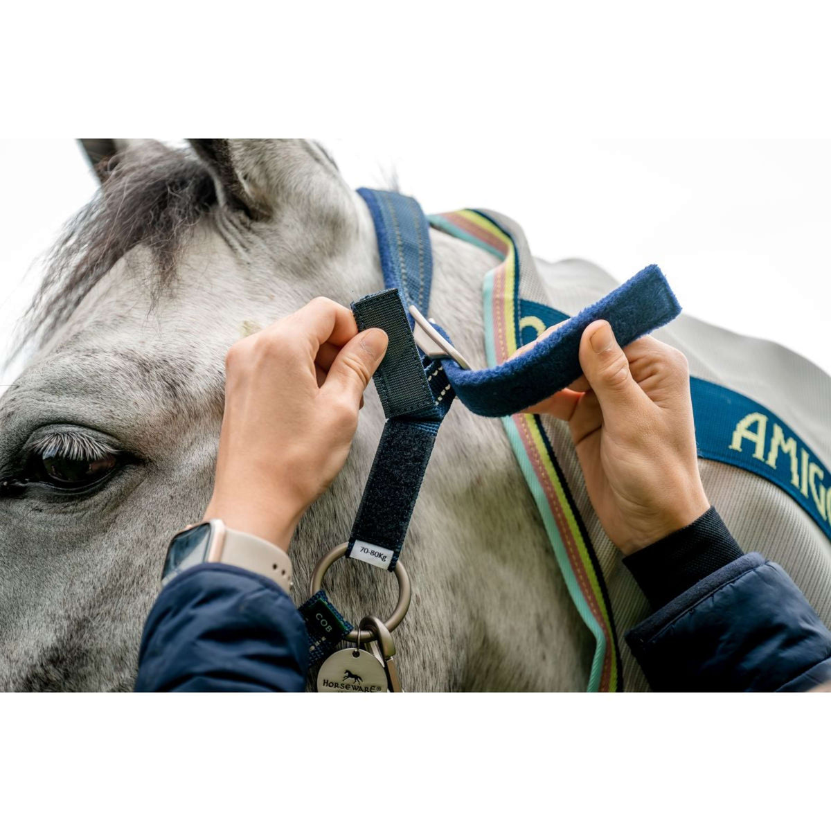 Horseware Halter Field Safe Navy