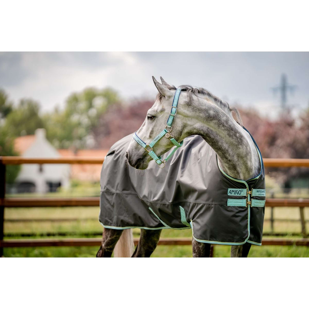 Horseware Halter Field Safe Blue Haze