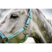 Horseware Halter Field Safe Blue Haze