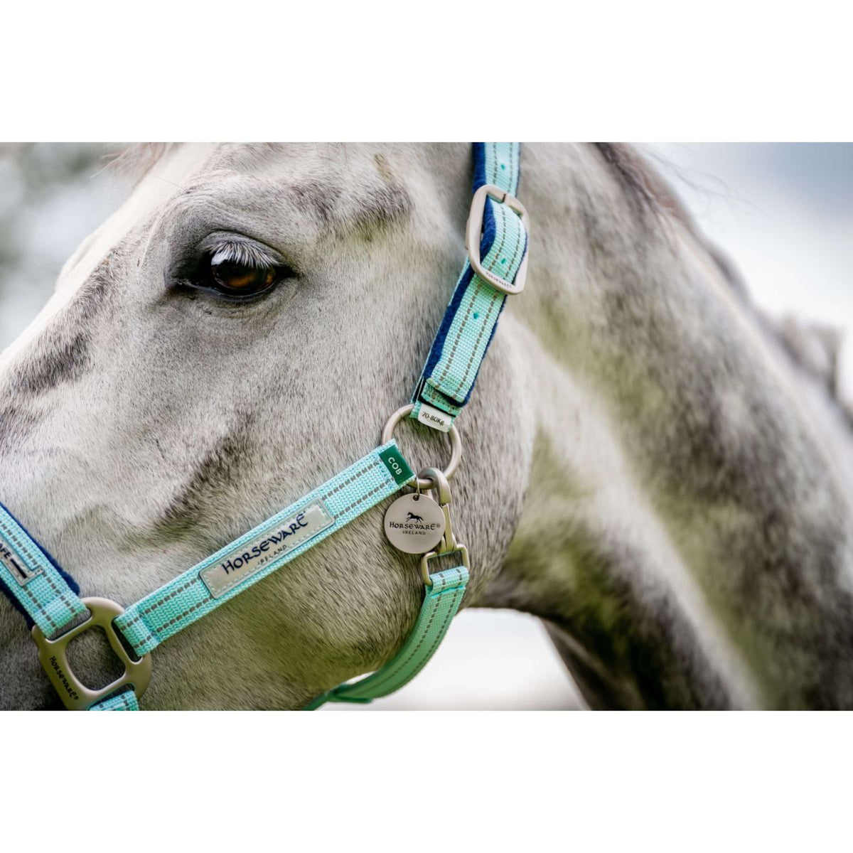 Horseware Halter Field Safe Blue Haze