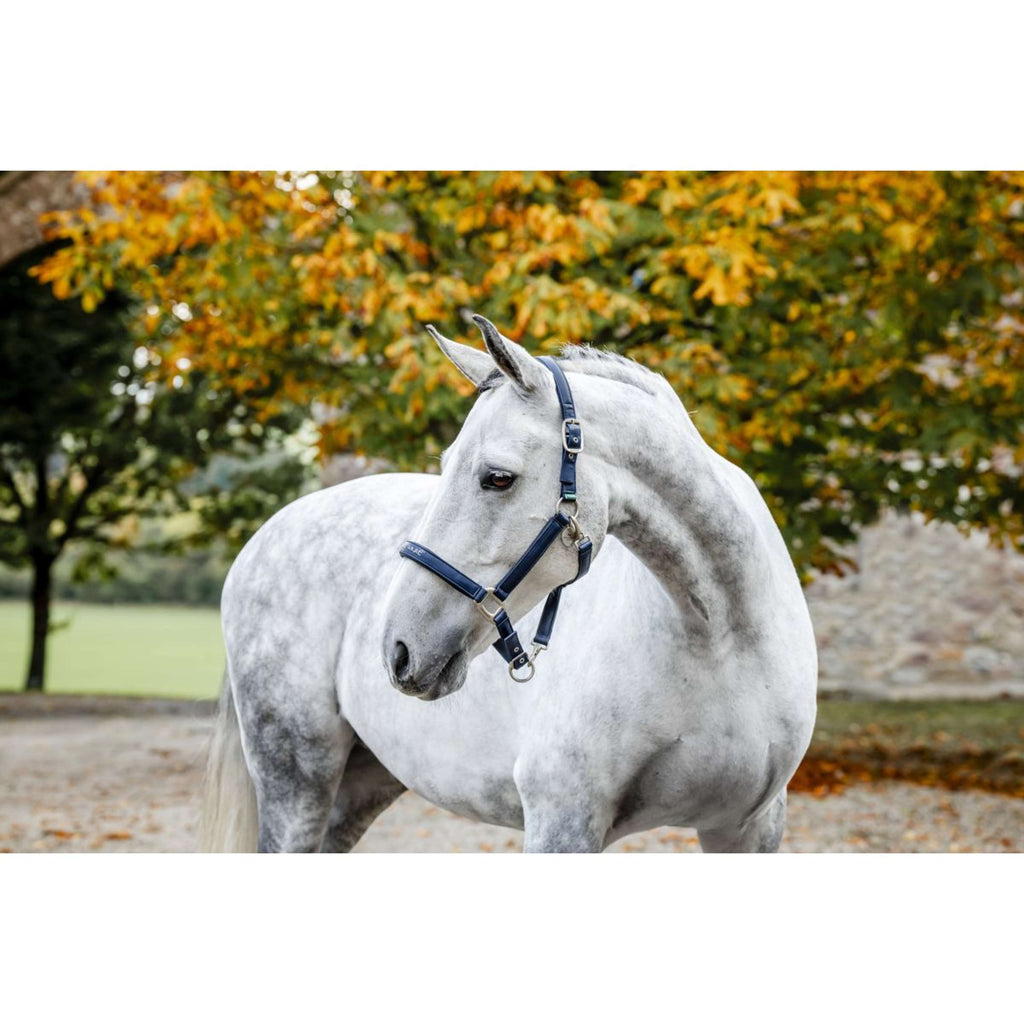 Horseware Halter Grooming Navy
