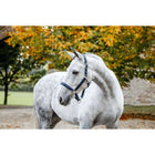 Horseware Halter Grooming Navy