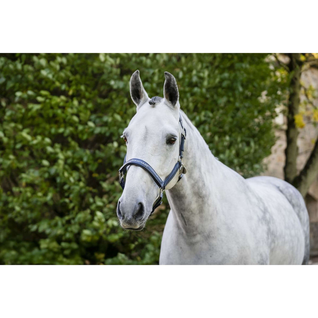 Horseware Halter Grooming Navy