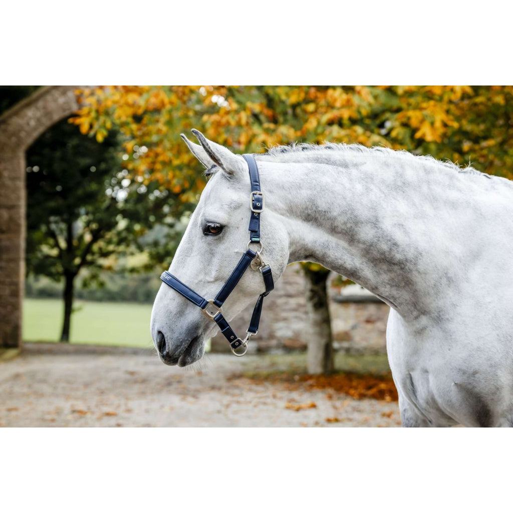 Horseware Halter Grooming Navy