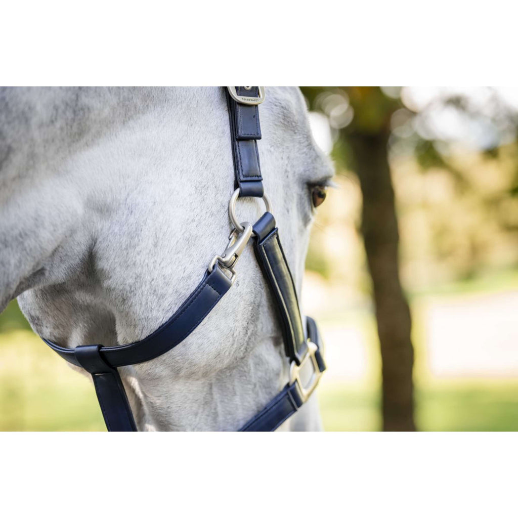 Horseware Halter Grooming Navy