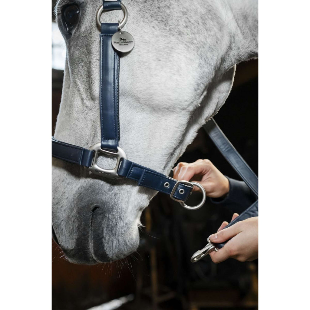 Horseware Halter Grooming Navy