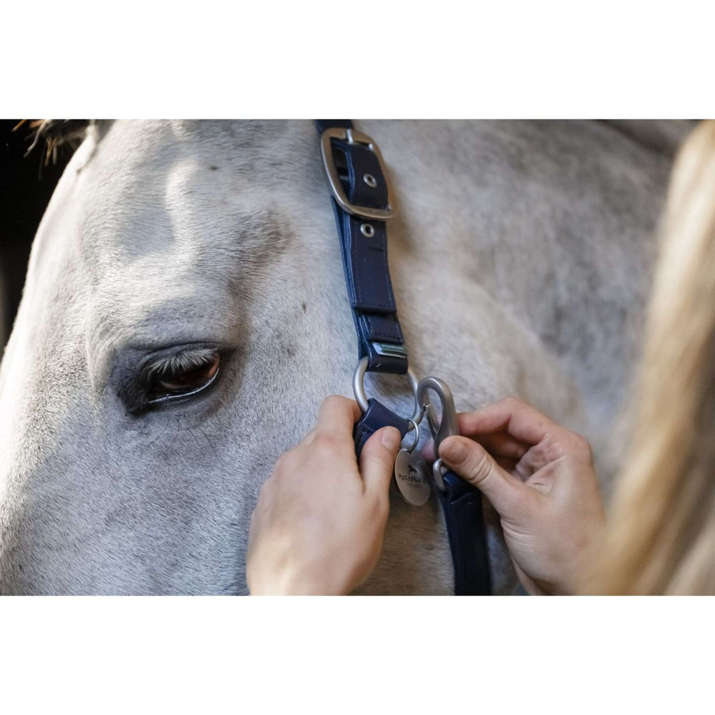 Horseware Halter Grooming Navy