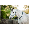 Amigo Halter and Leadrope Dynasty Green