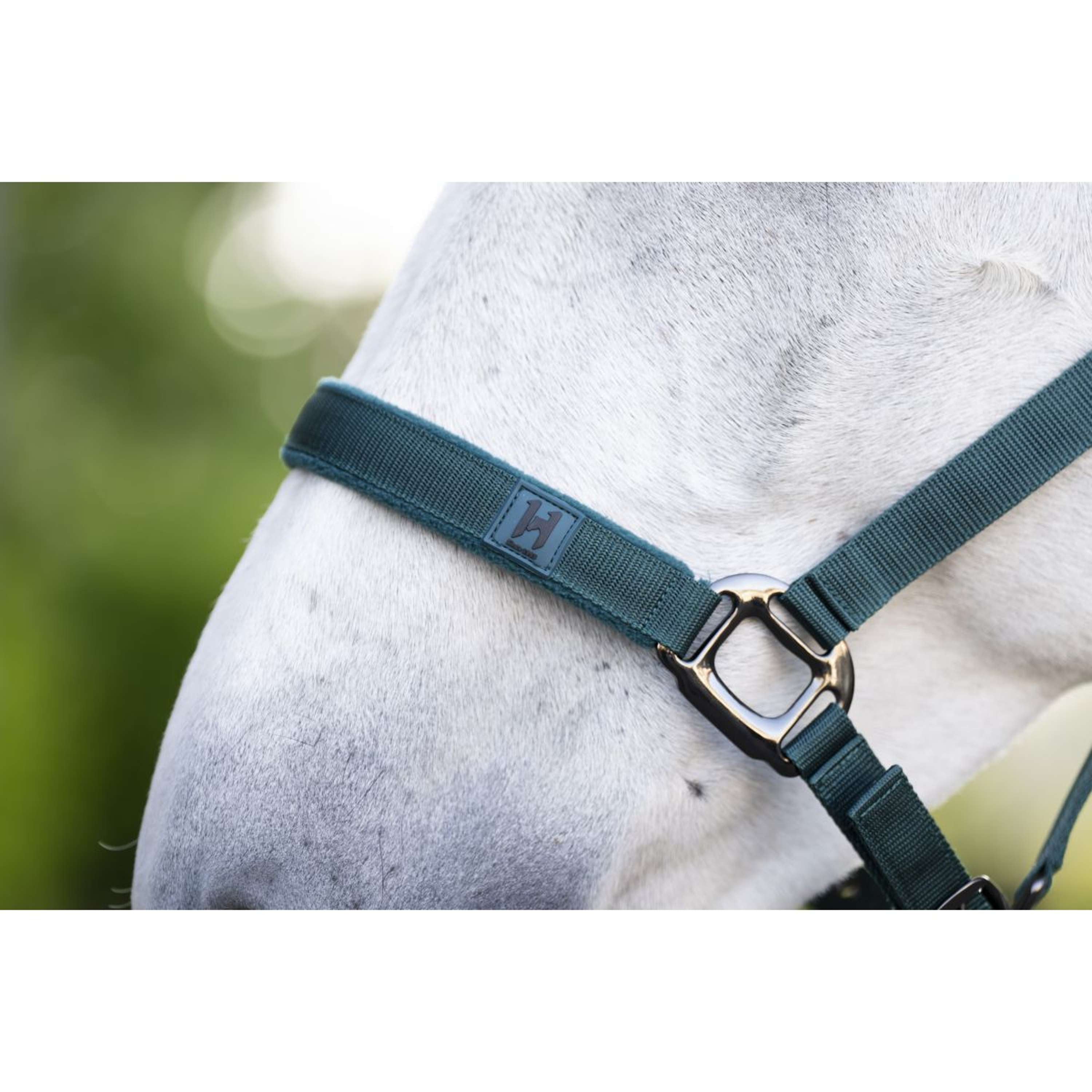 Amigo Halter and Leadrope Dynasty Green