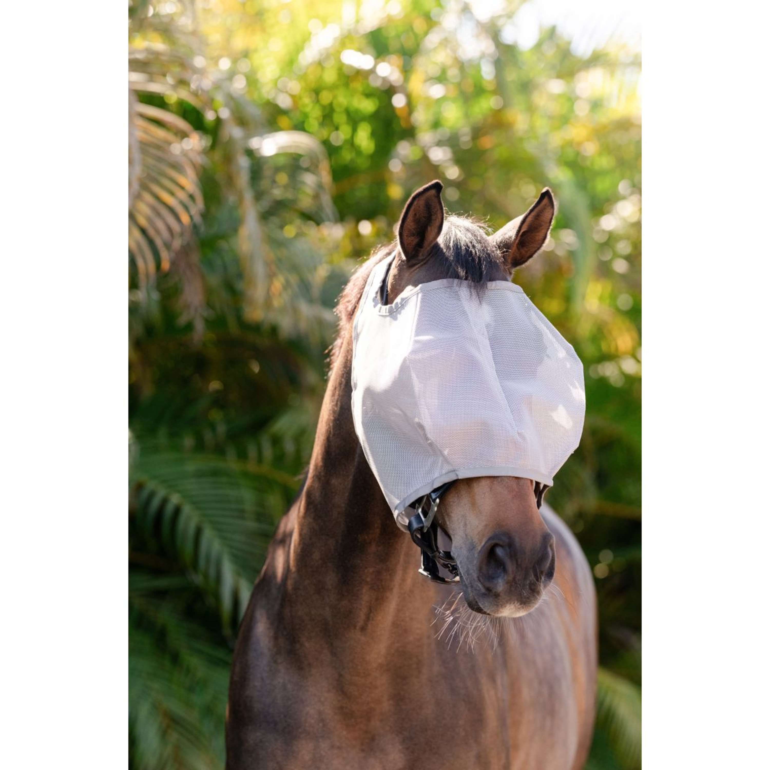 Amigo Fly Mask without Ears Silver/Titanium Grey/Silver