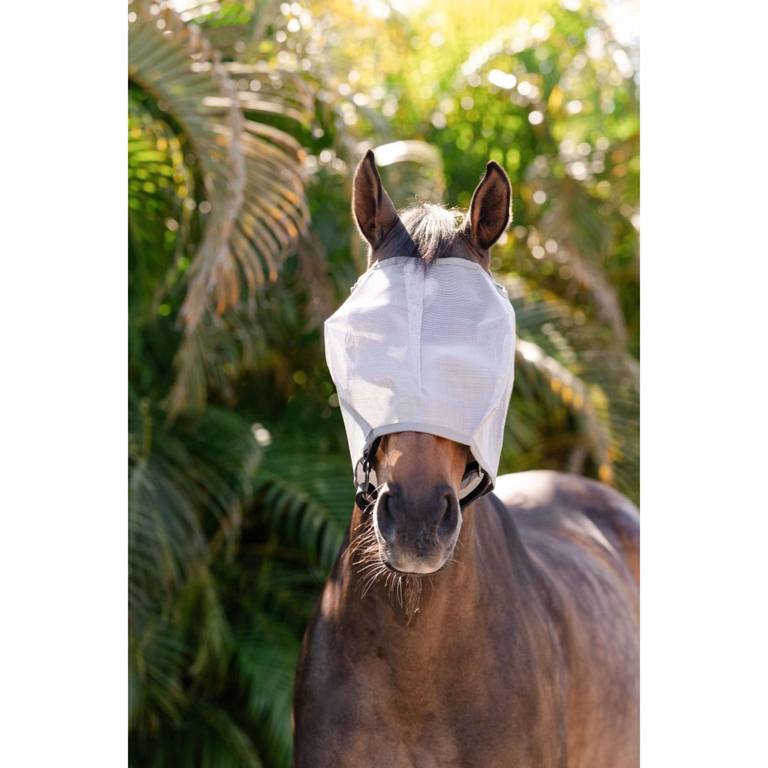 Amigo Fly Mask without Ears Silver/Titanium Grey/Silver